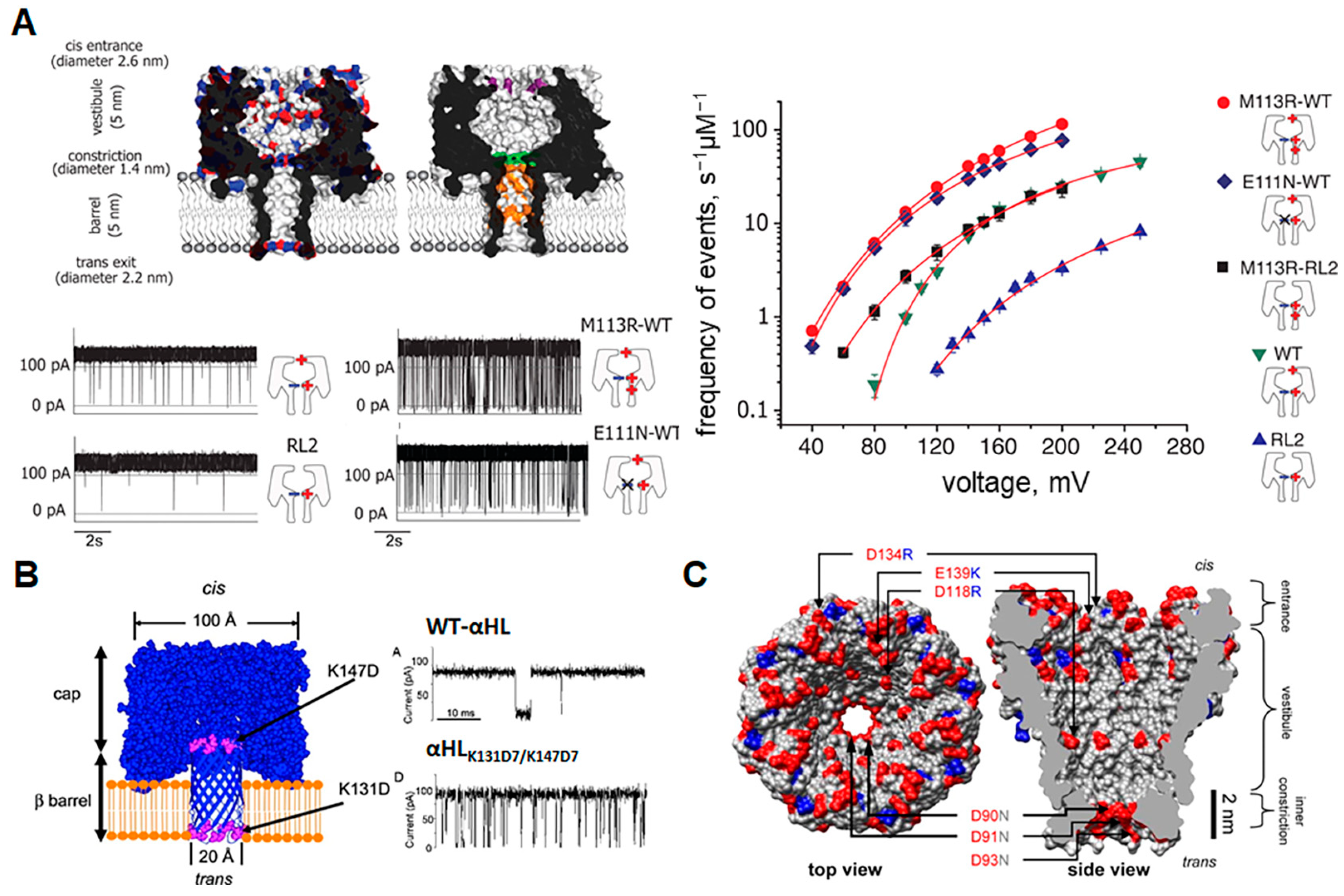Biosensors 14 00345 g004