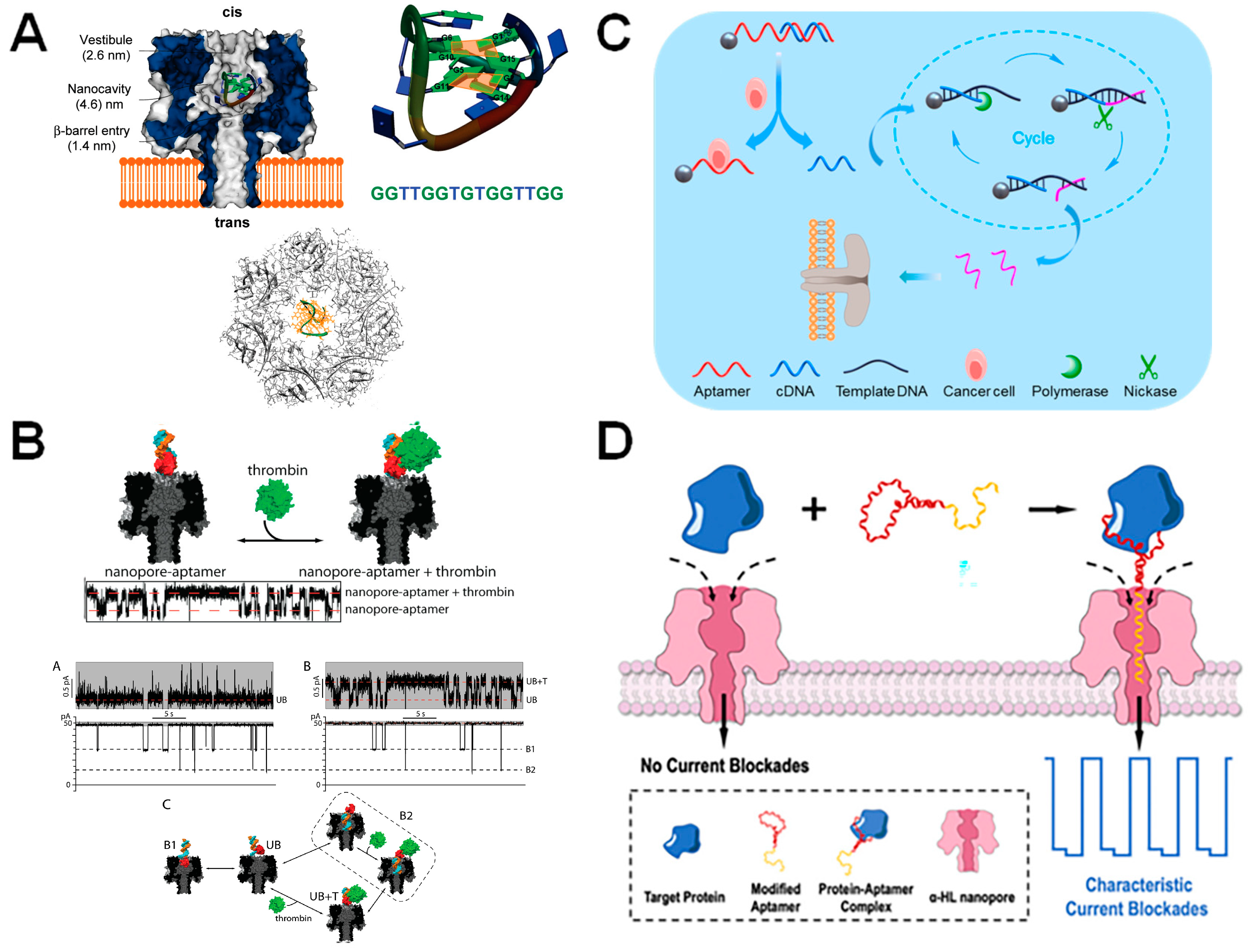 Biosensors 14 00345 g006