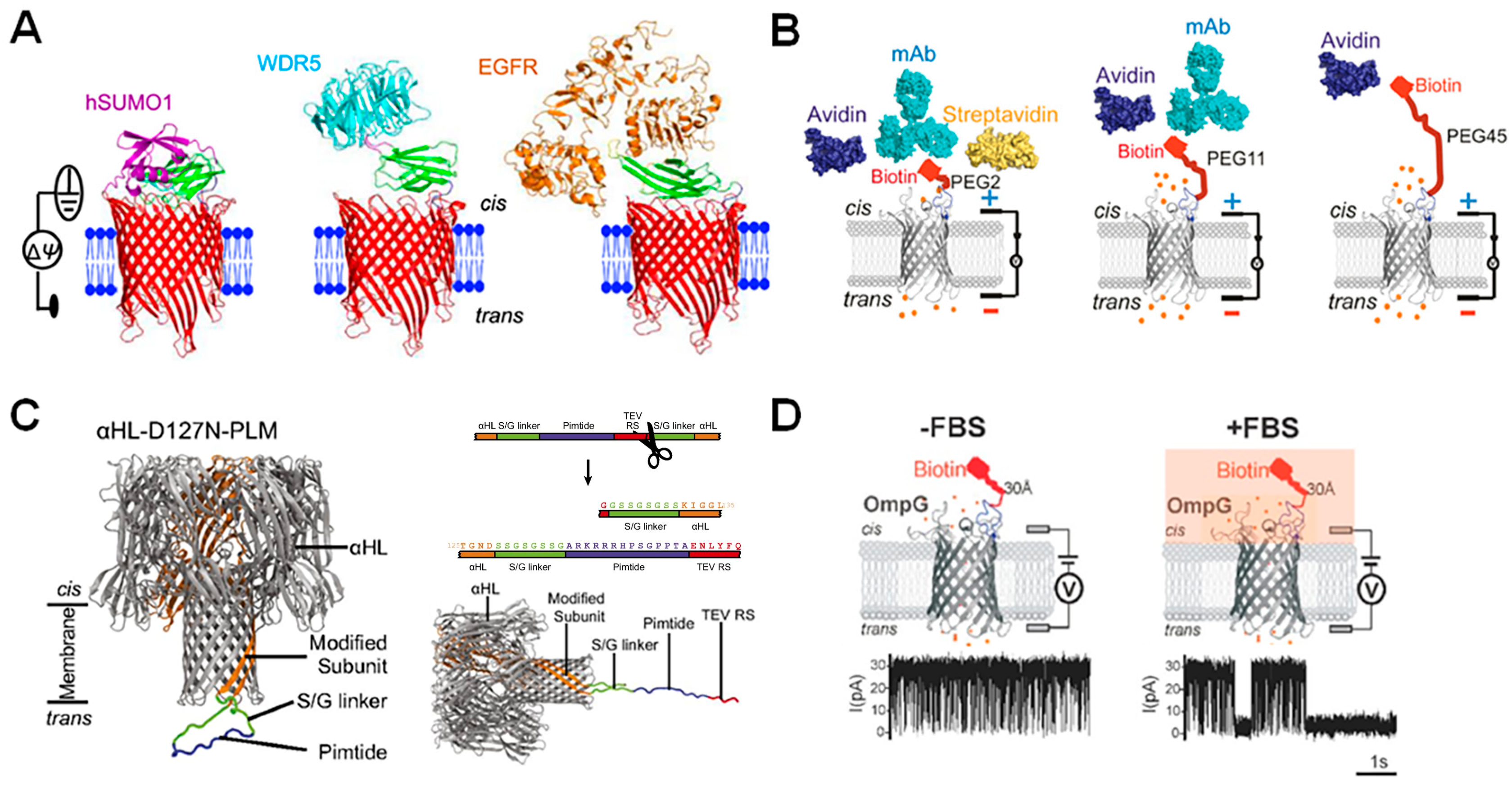 Biosensors 14 00345 g007