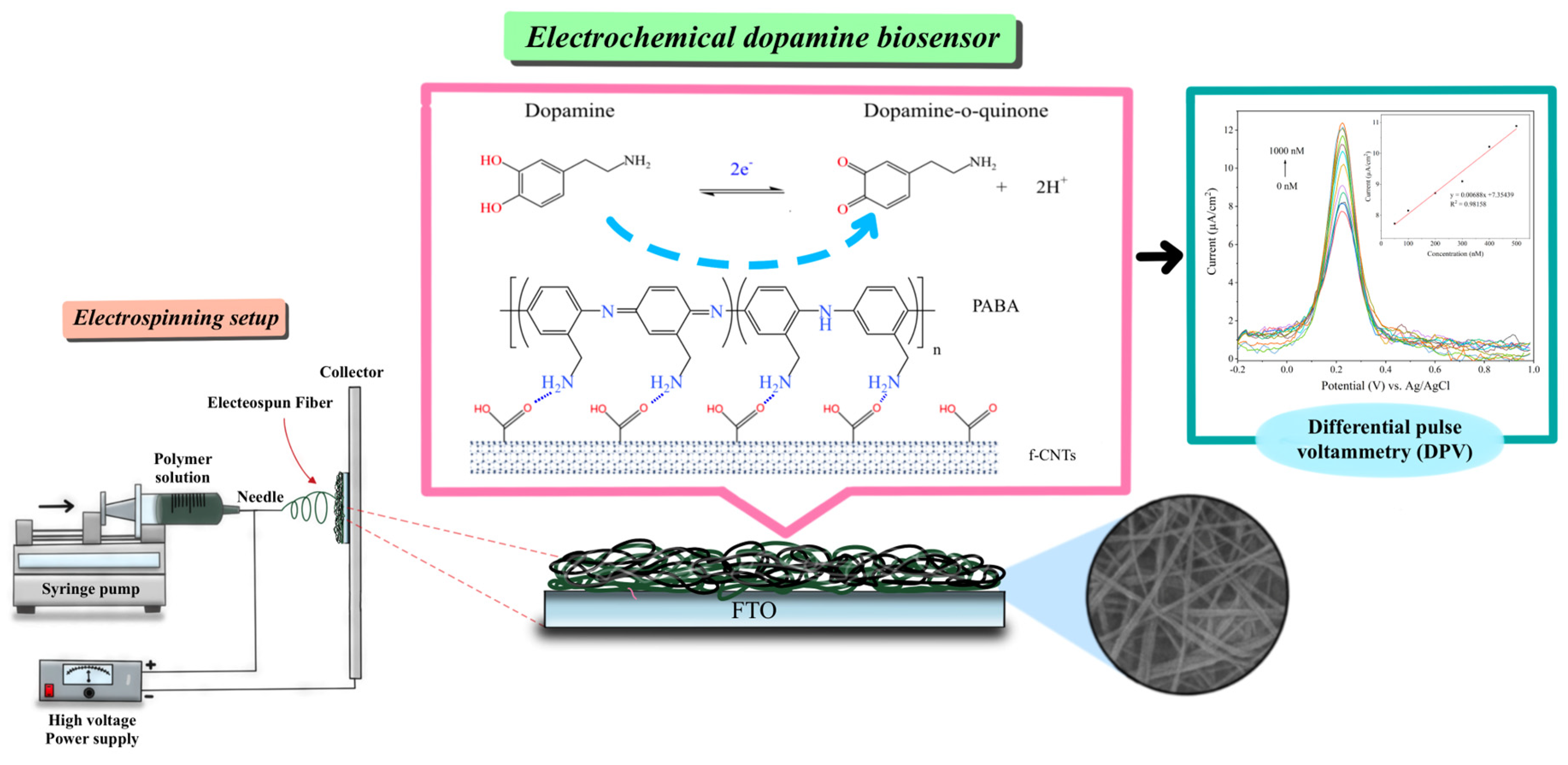 Biosensors 14 00349 sch001