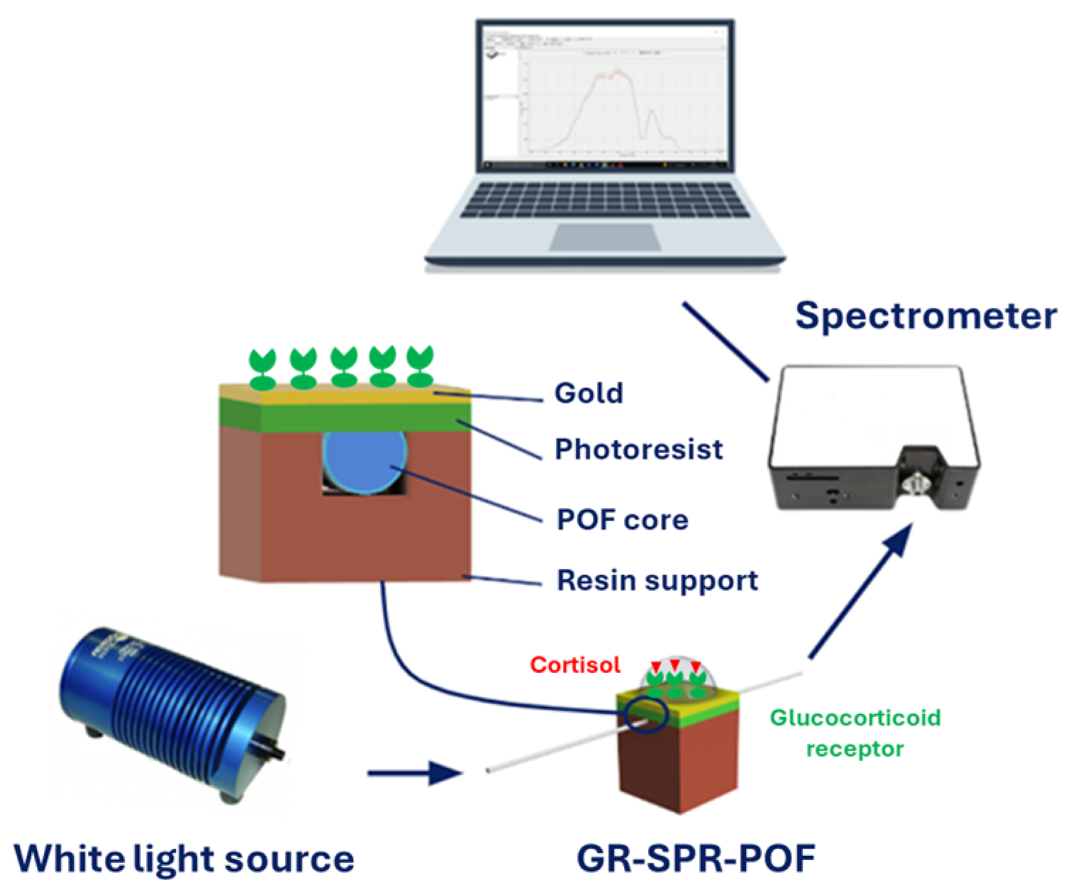 Biosensors 14 00351 g001