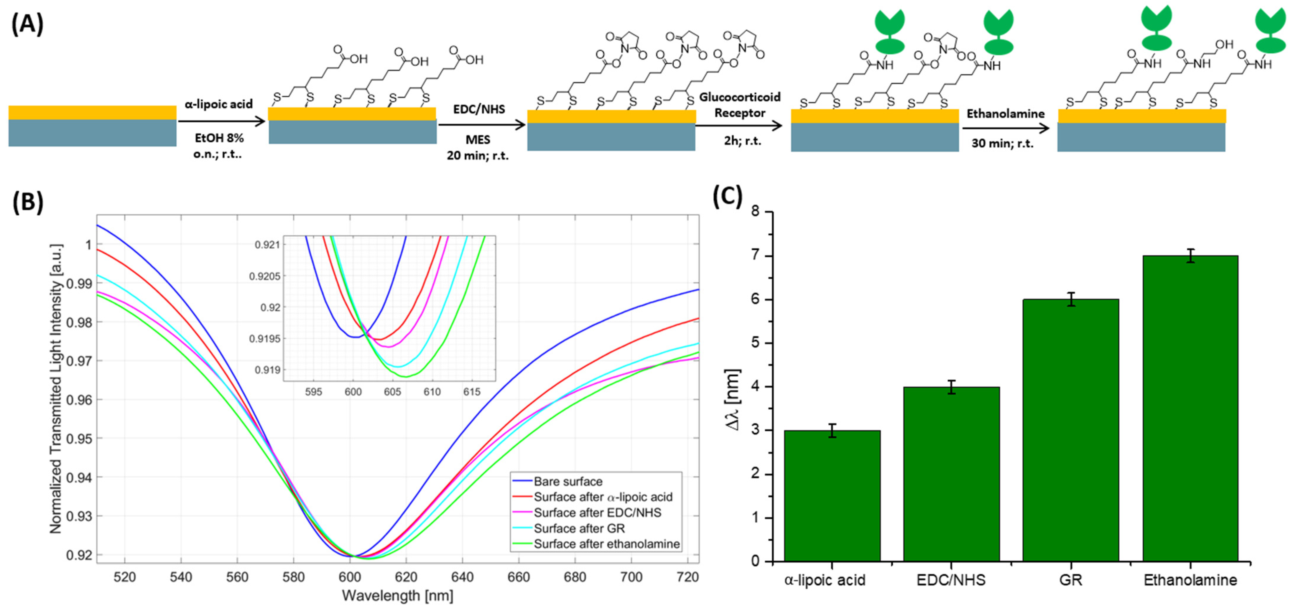 Biosensors 14 00351 g002