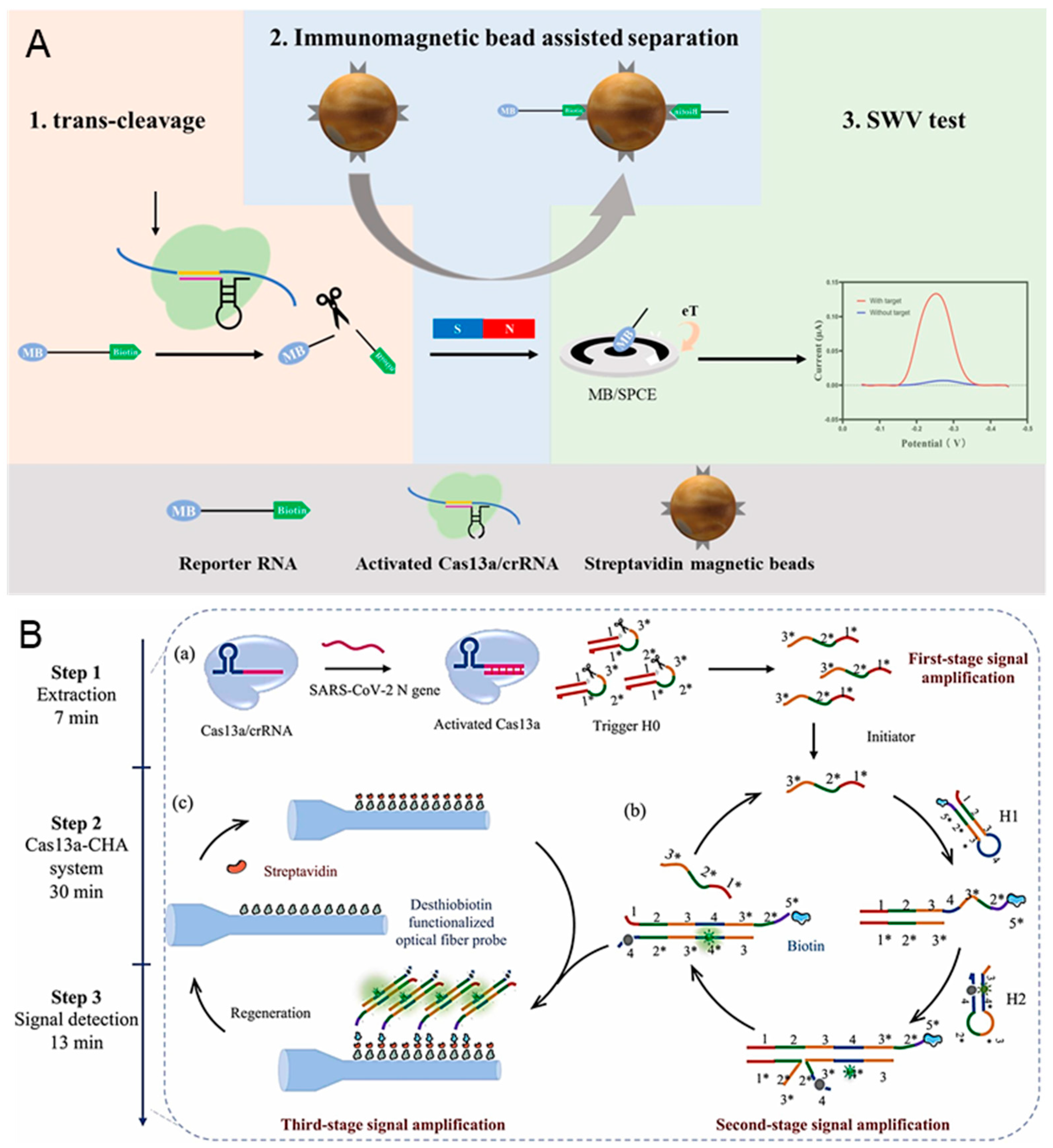 Biosensors 14 00367 g005