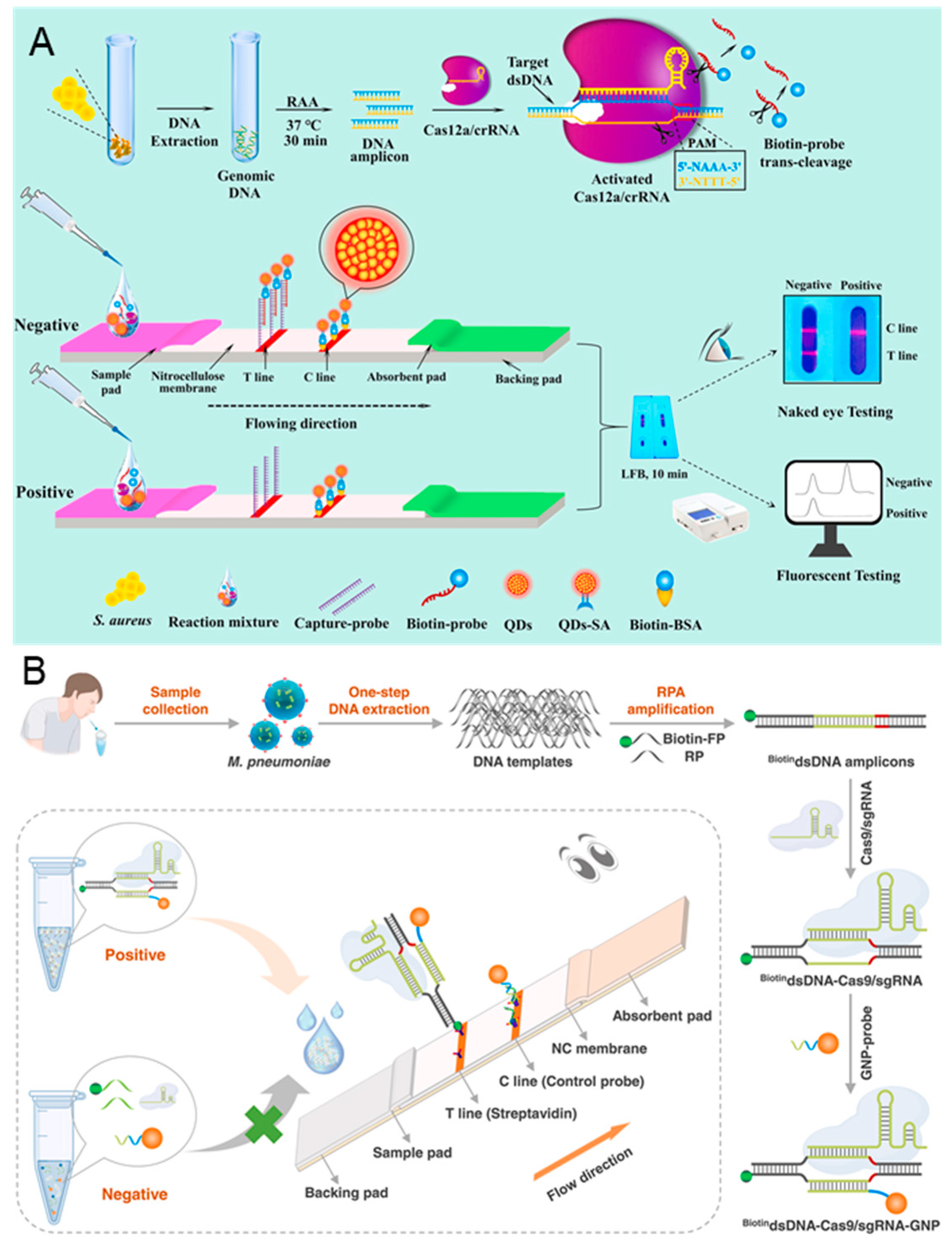 Biosensors 14 00367 g007