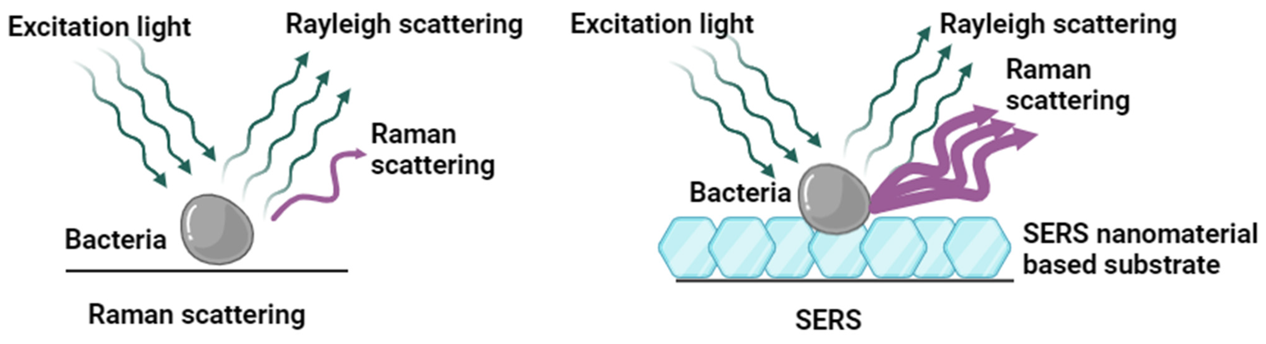 Biosensors 14 00375 g001 Biosensors 14 00375 g001