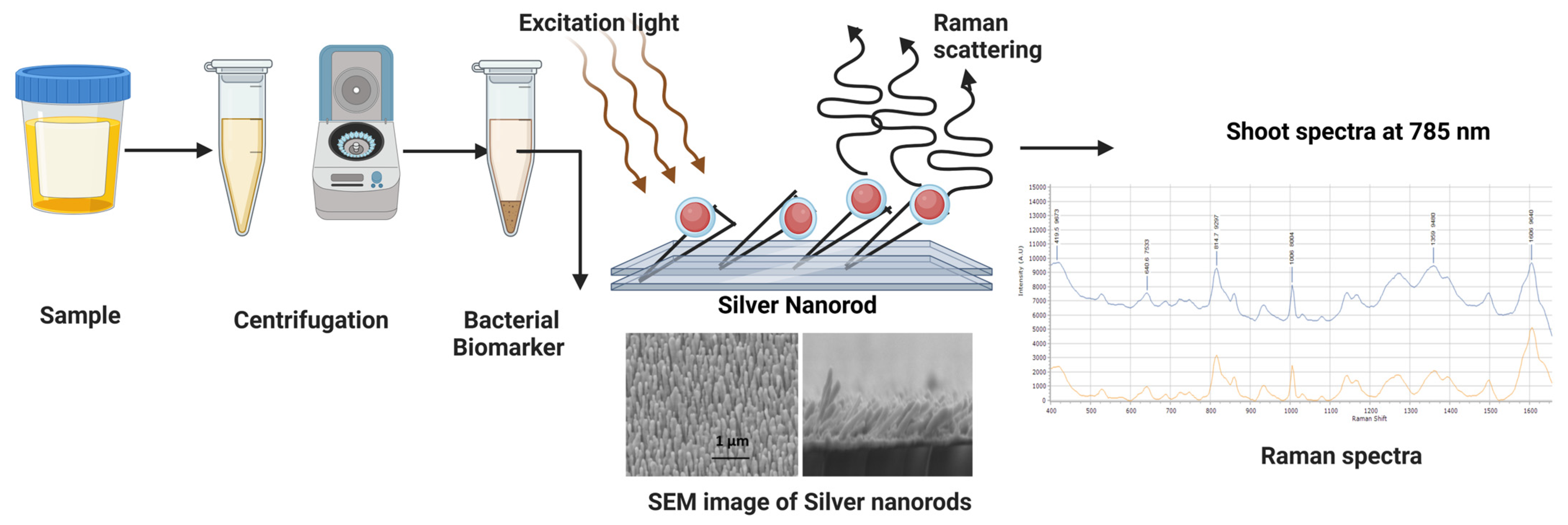 Biosensors 14 00375 g003 Biosensors 14 00375 g003