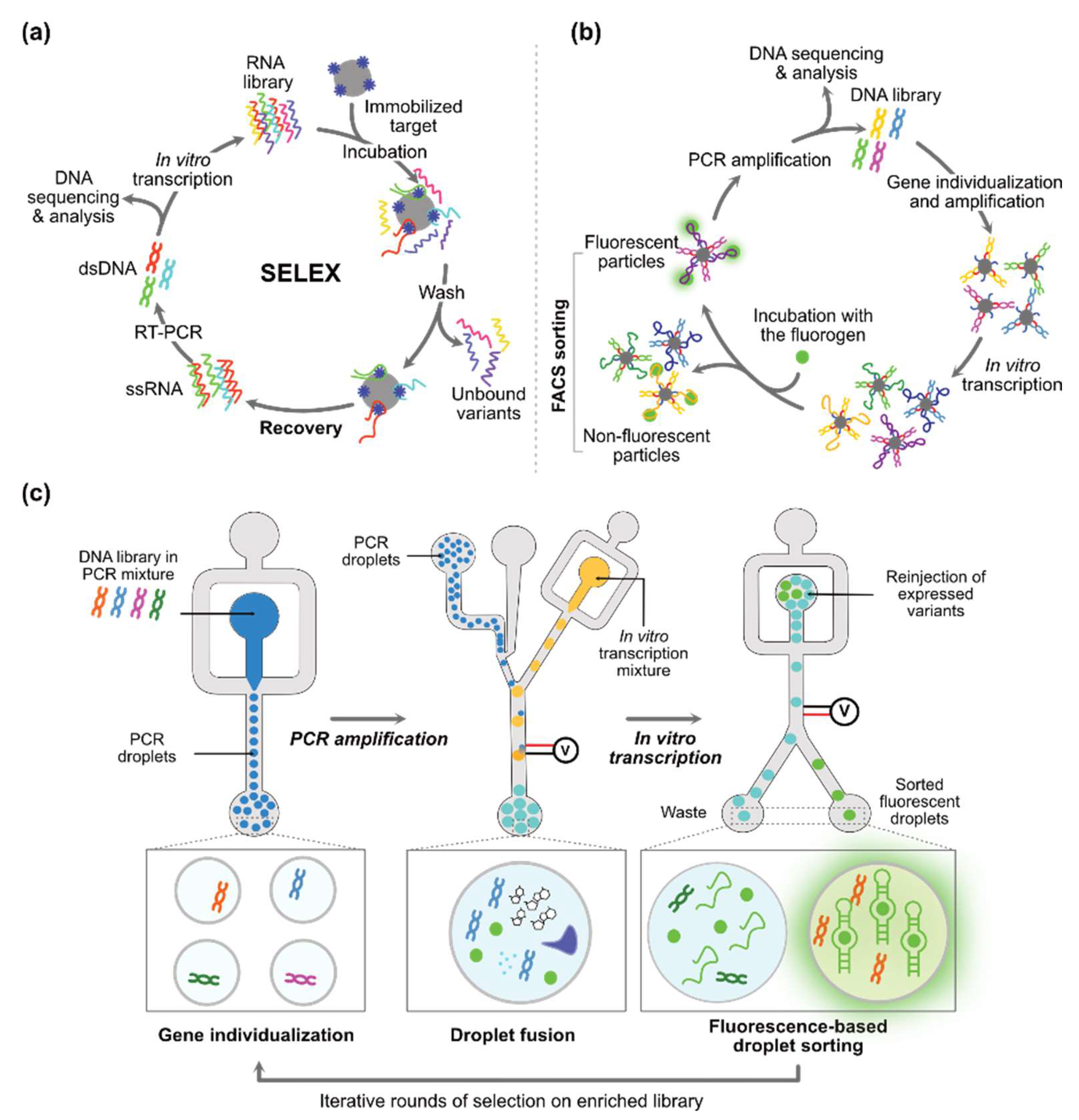 Biosensors 14 00376 g002