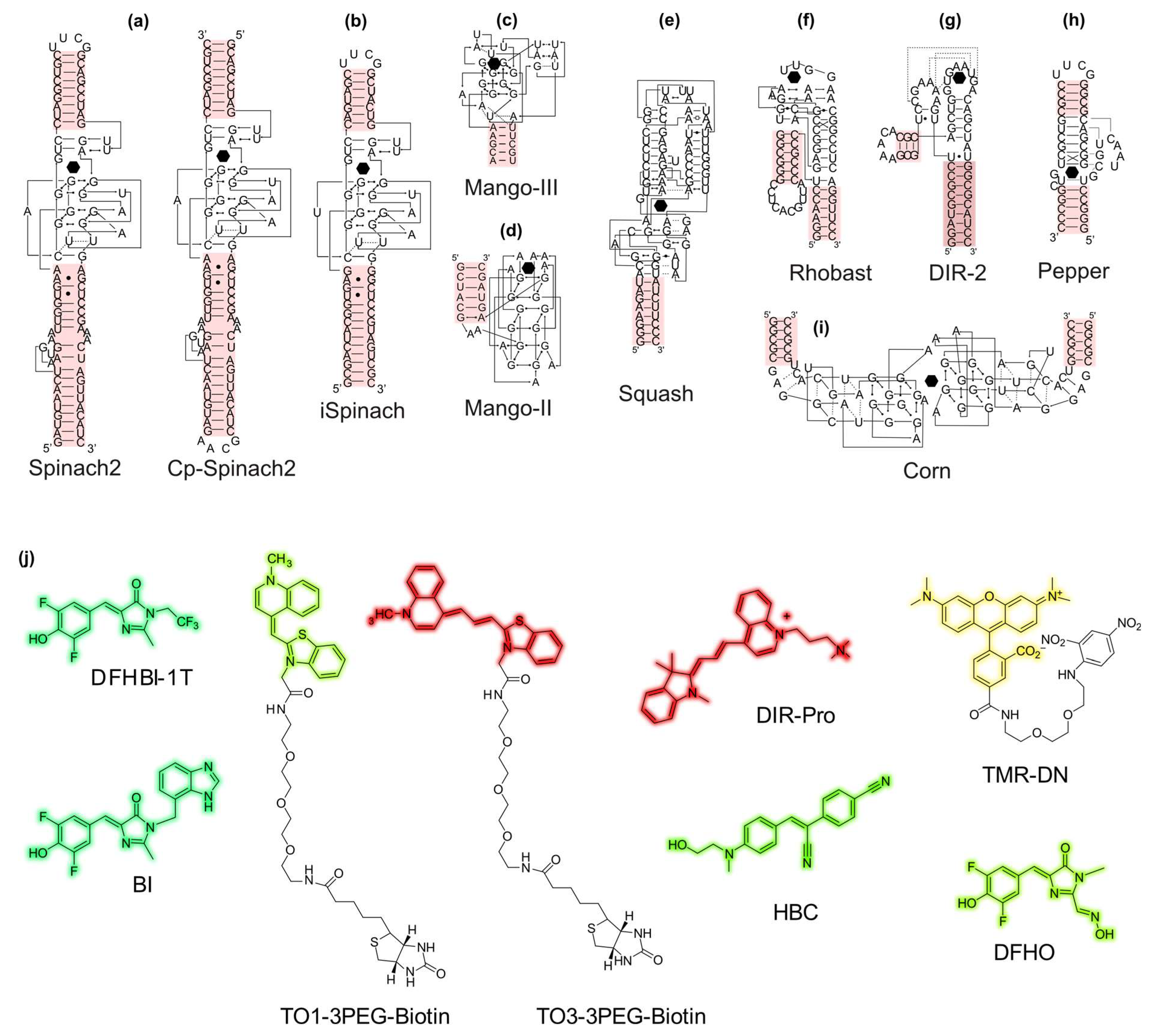 Biosensors 14 00376 g003