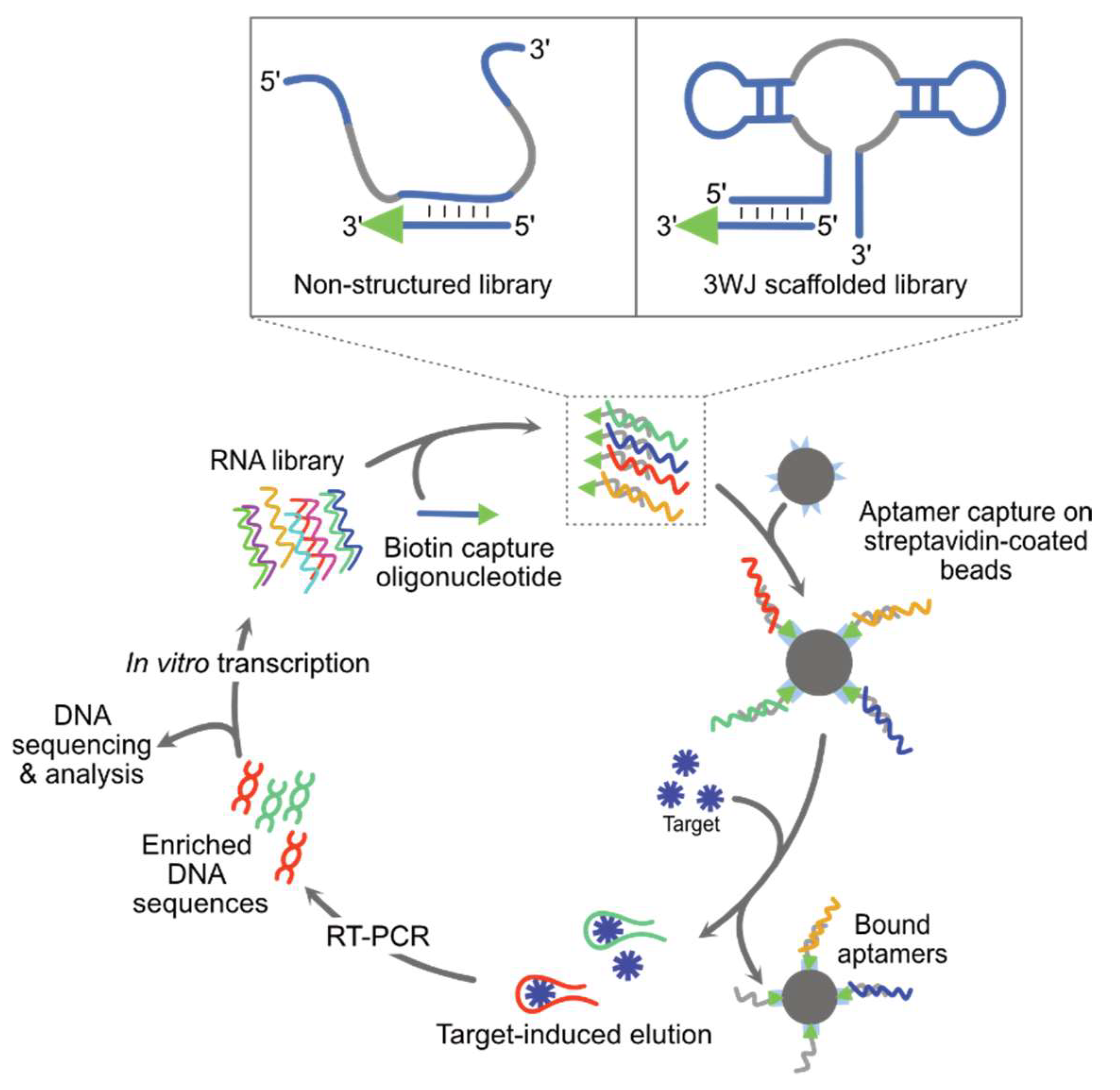 Biosensors 14 00376 g004