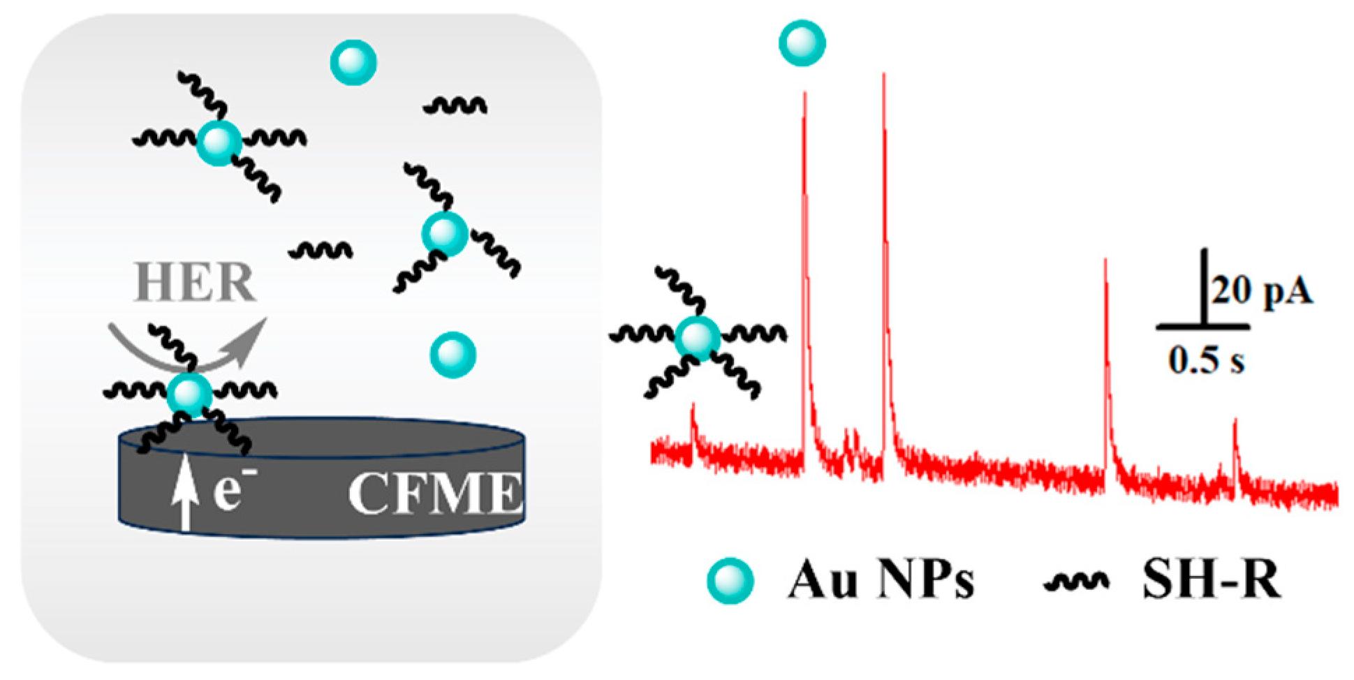 Biosensors 14 00393 sch001