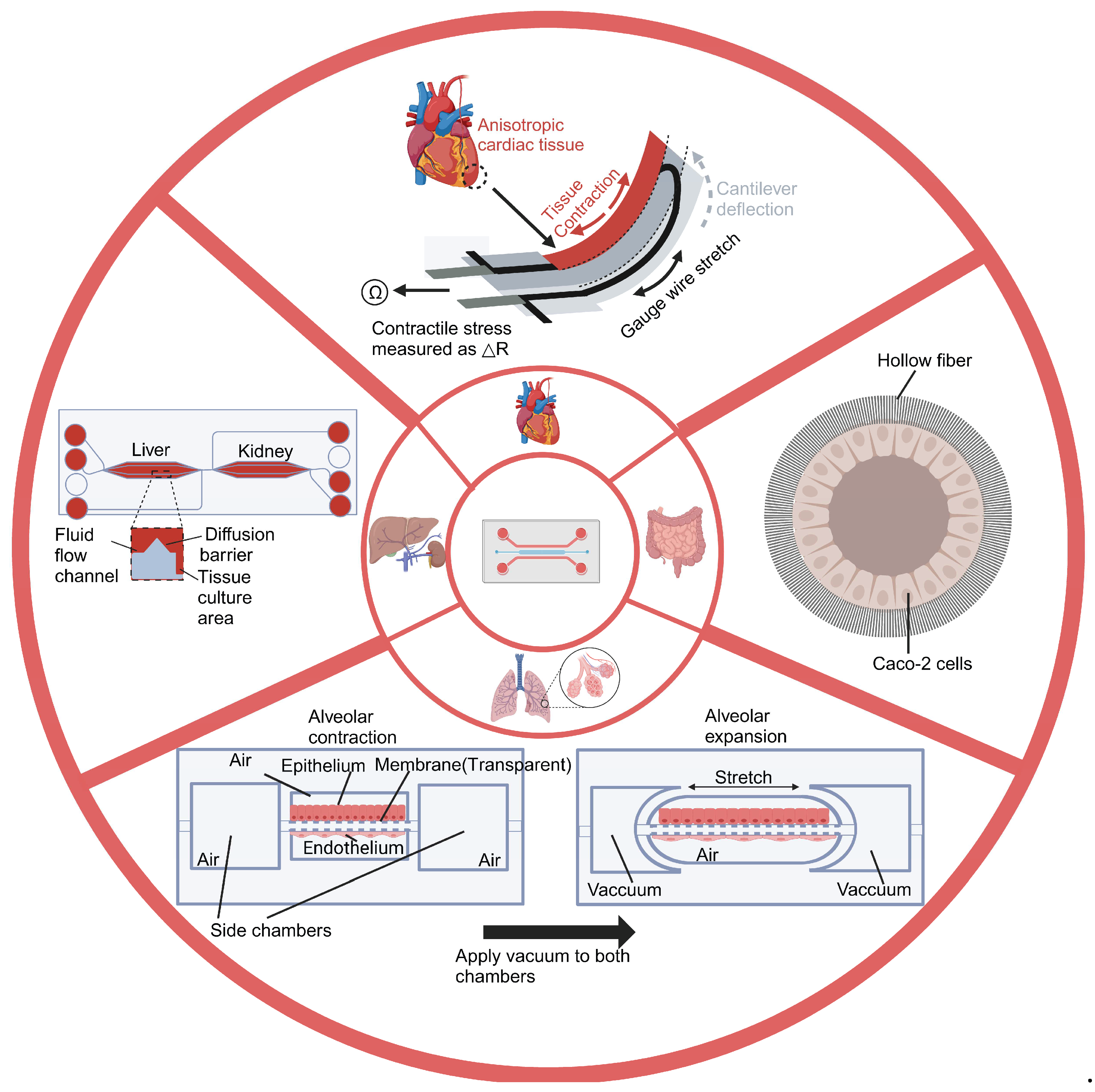 Biosensors 14 00425 g002