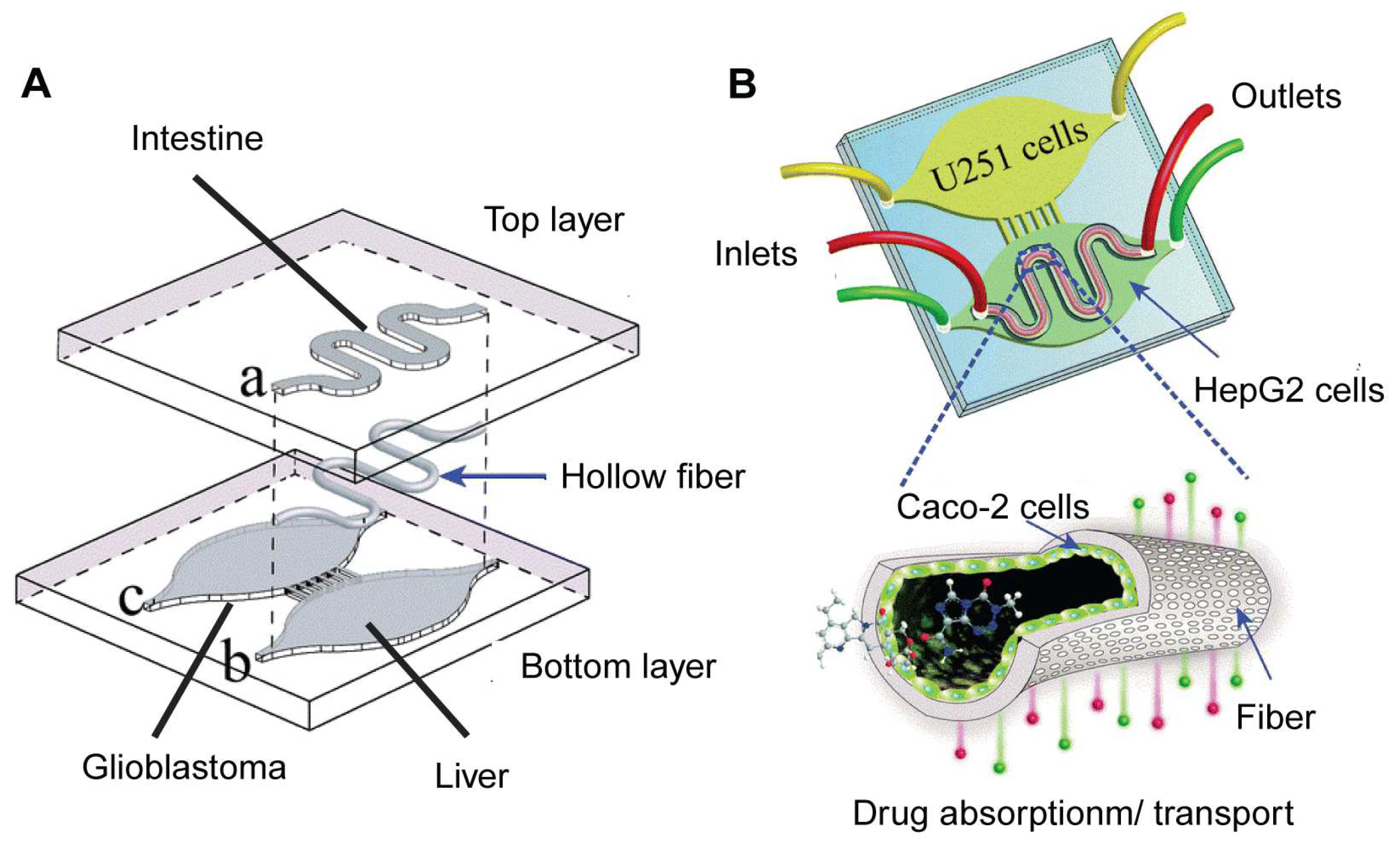 Biosensors 14 00425 g008