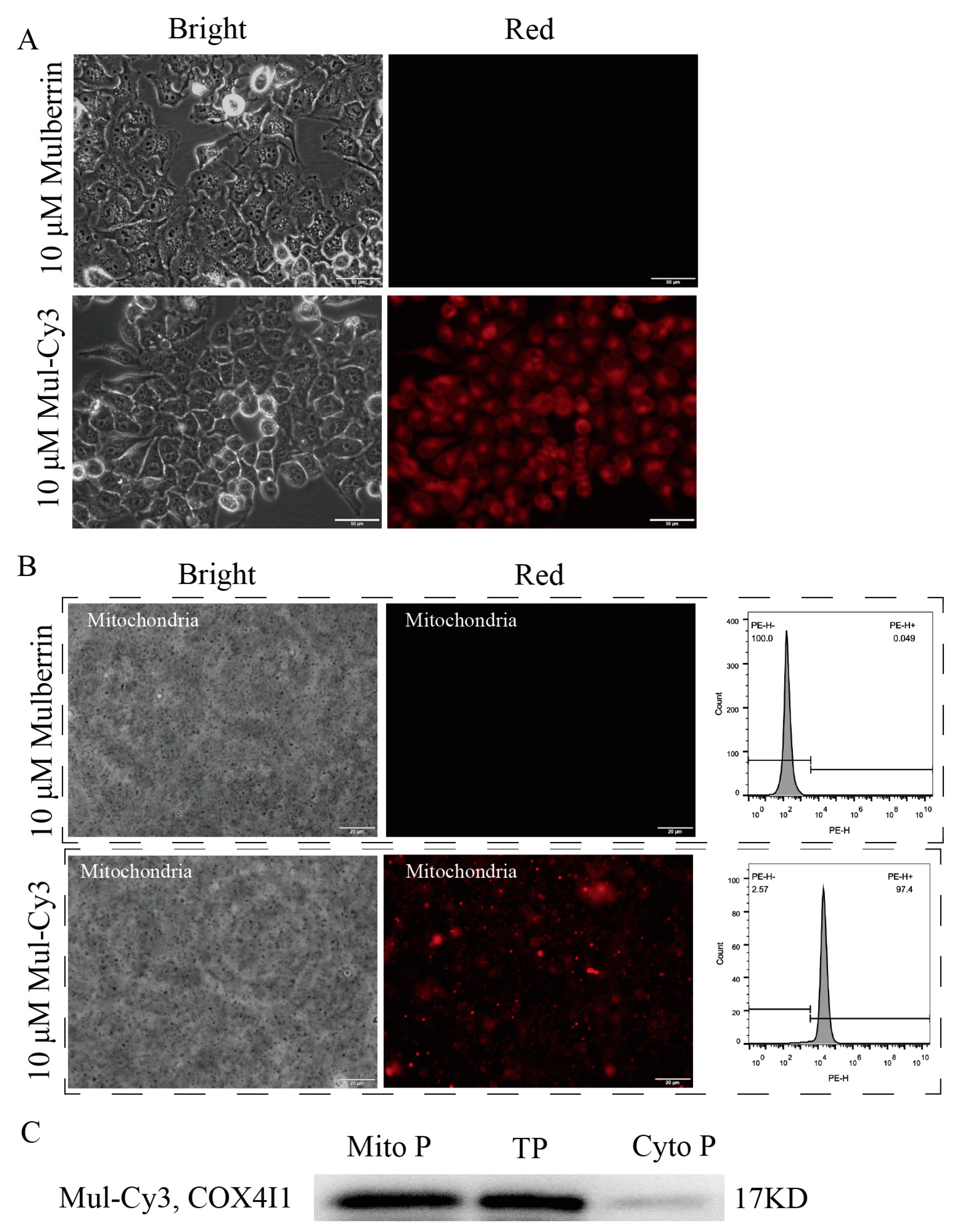 Biosensors 14 00428 g004