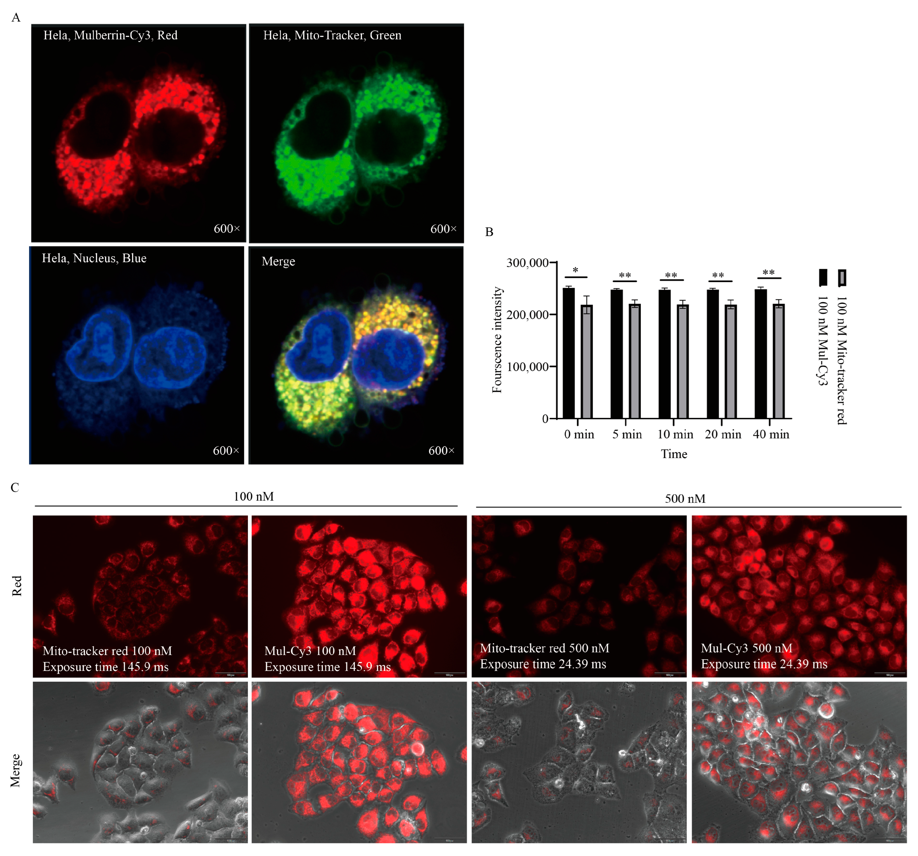 Biosensors 14 00428 g006