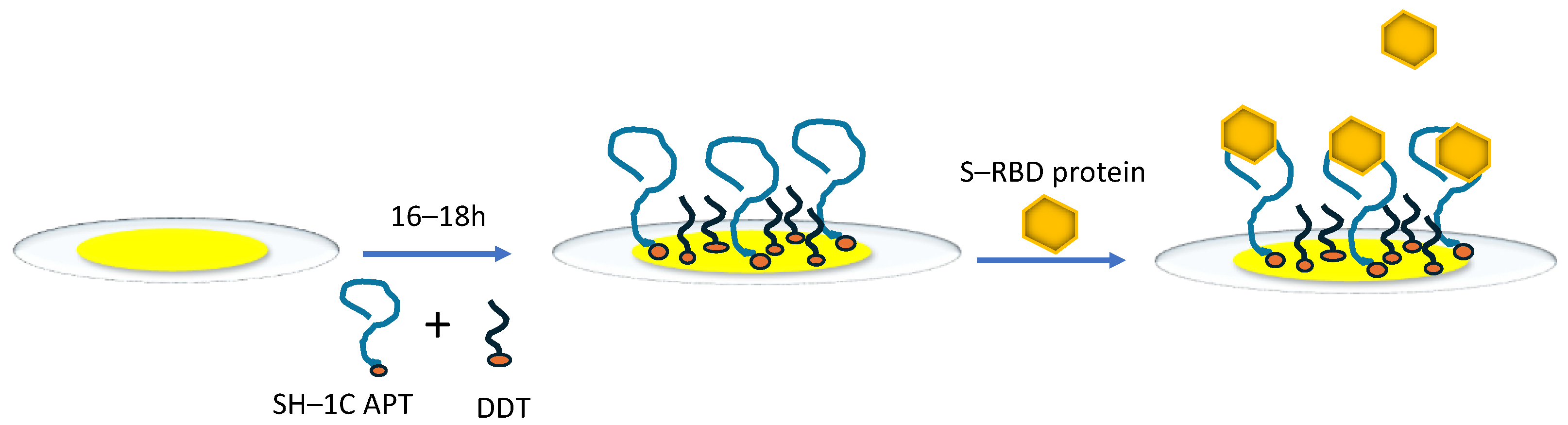 Biosensors 14 00431 g002
