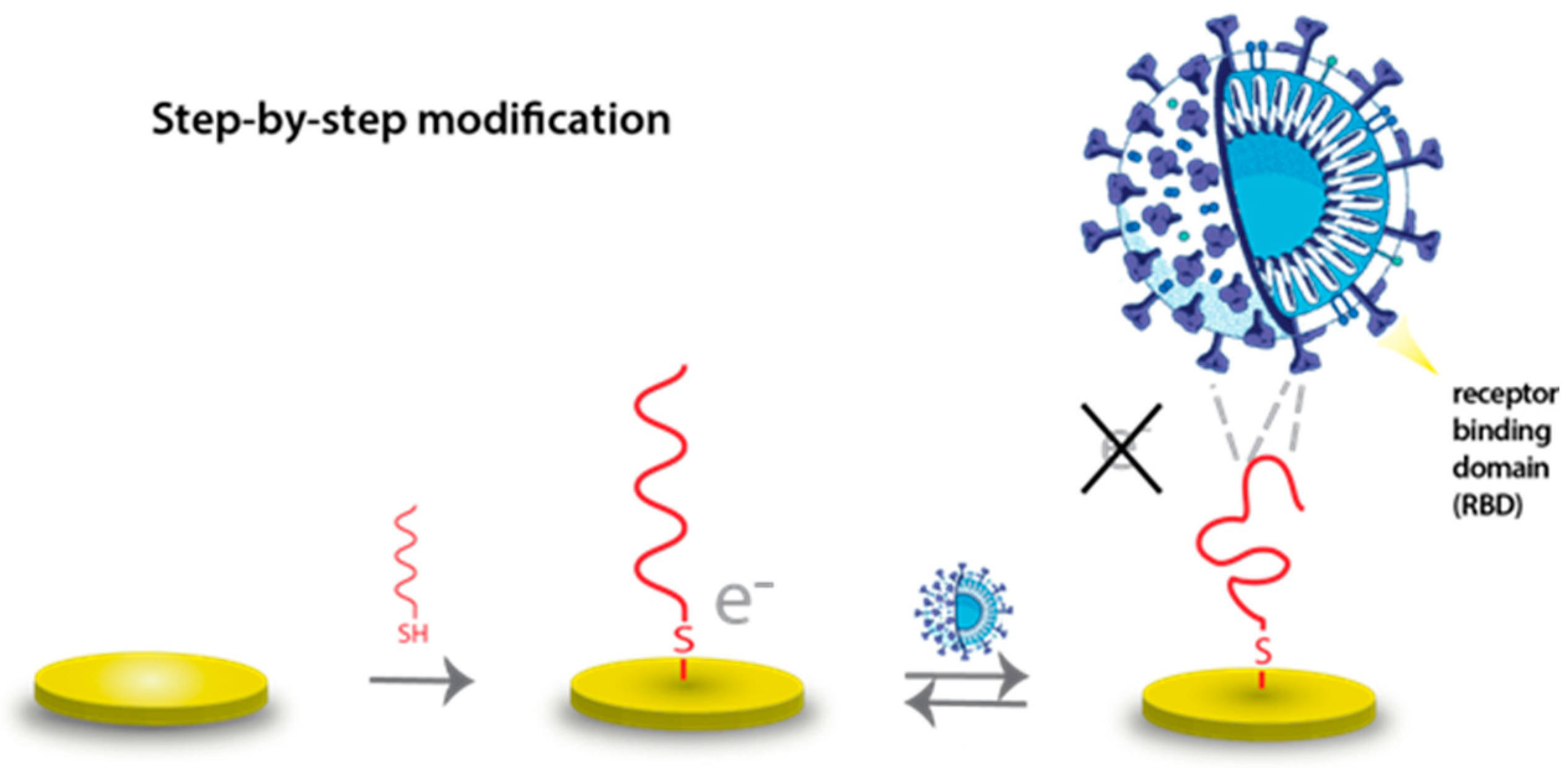 Biosensors 14 00431 g003