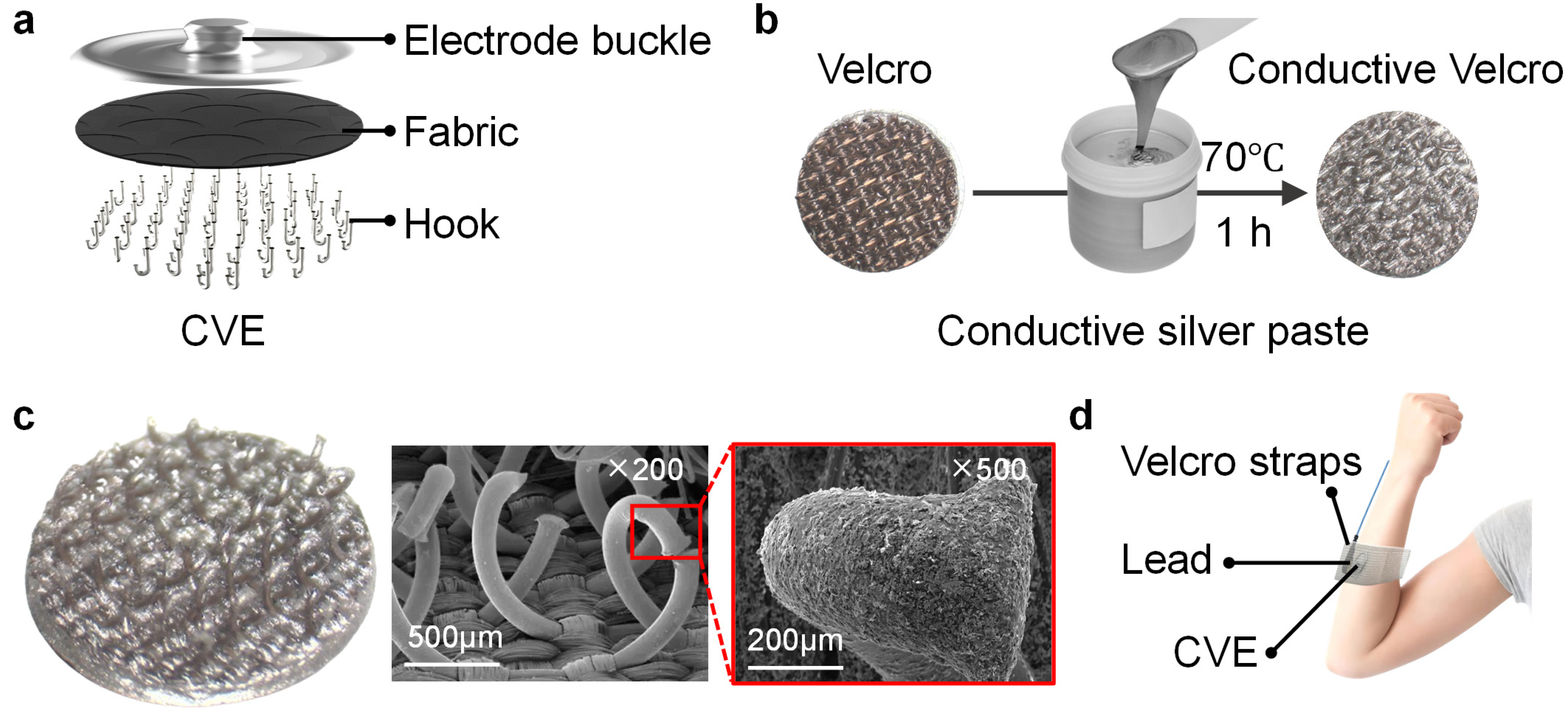Biosensors 14 00432 g001
