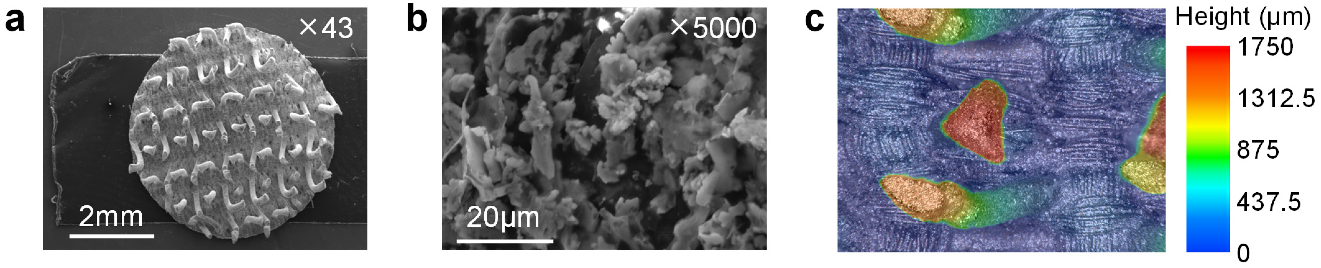 Biosensors 14 00432 g002