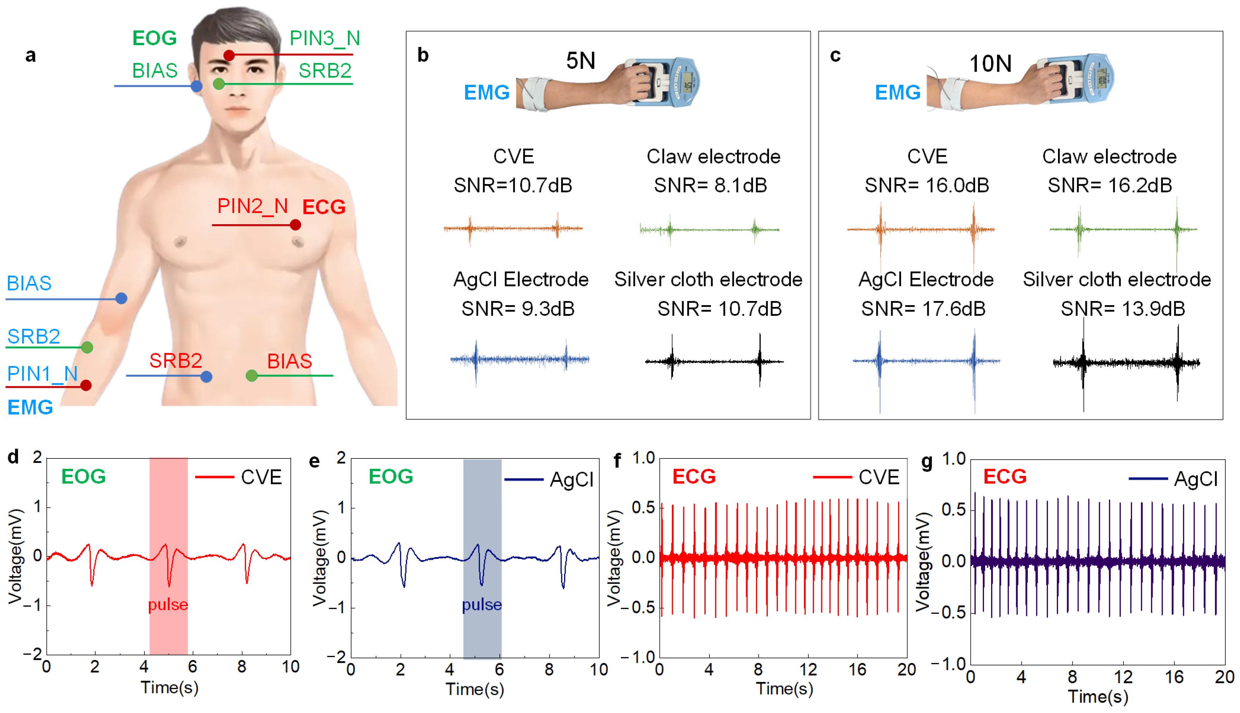 Biosensors 14 00432 g004