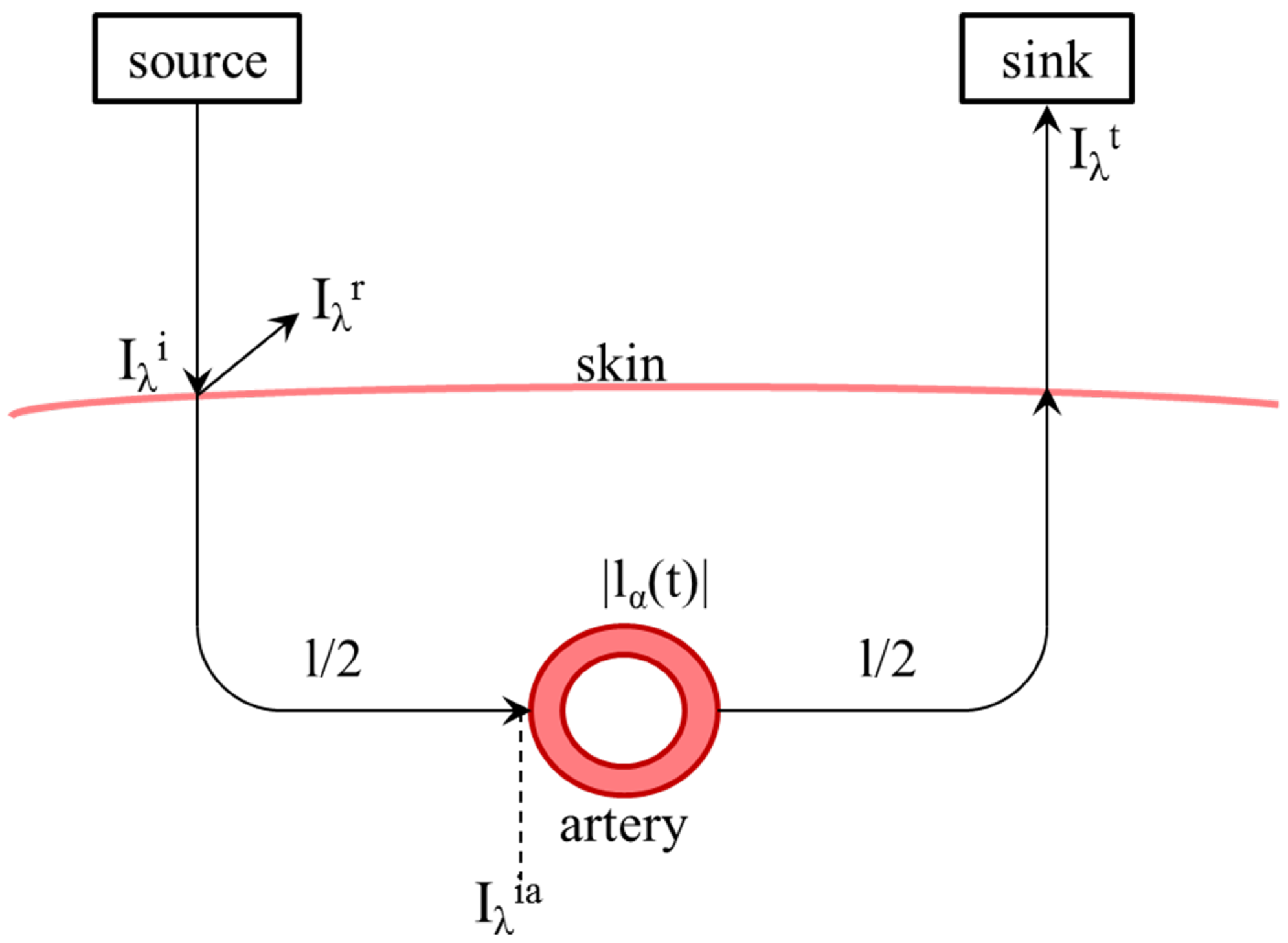 Biosensors 14 00437 g002
