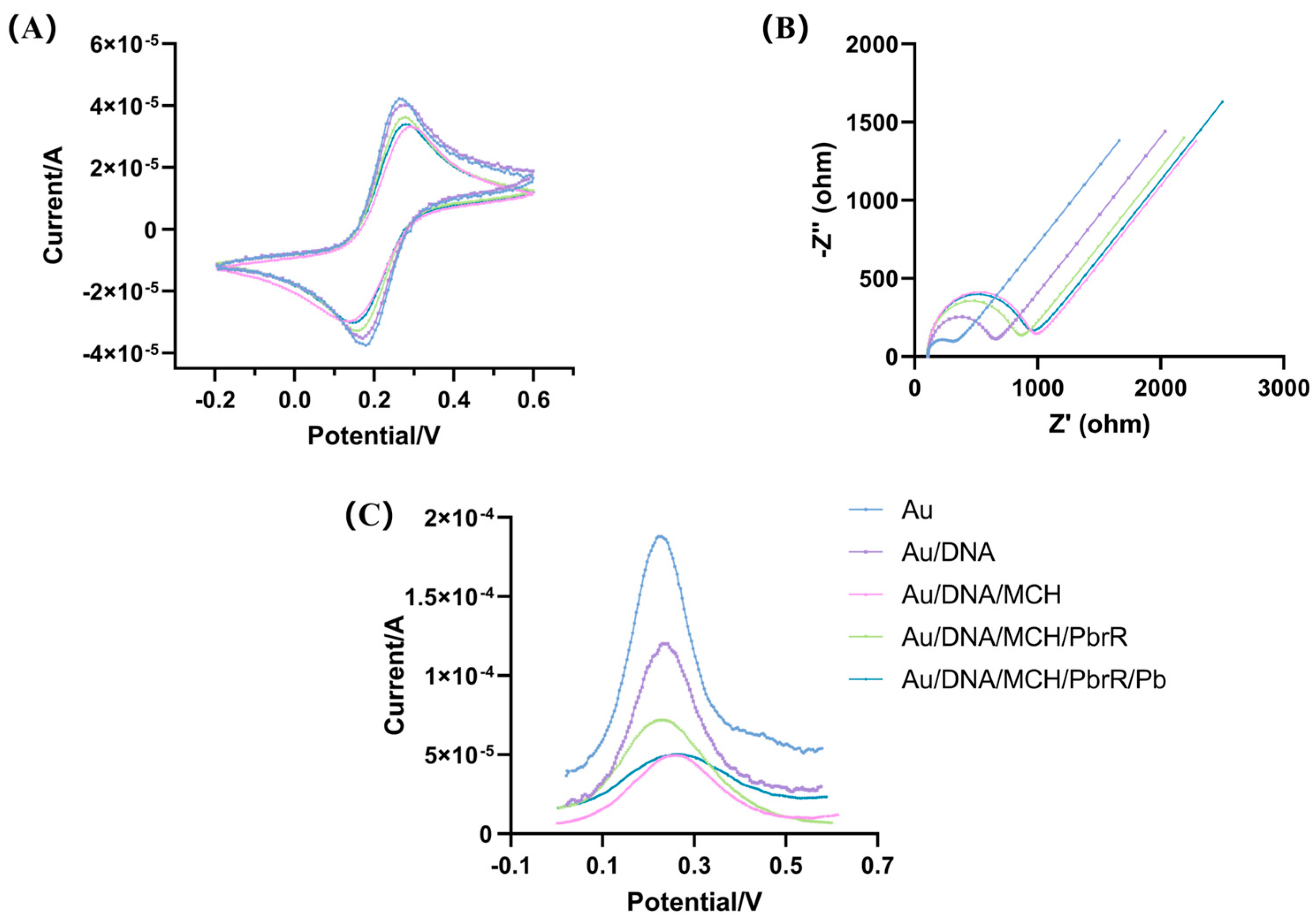Biosensors 14 00446 g002