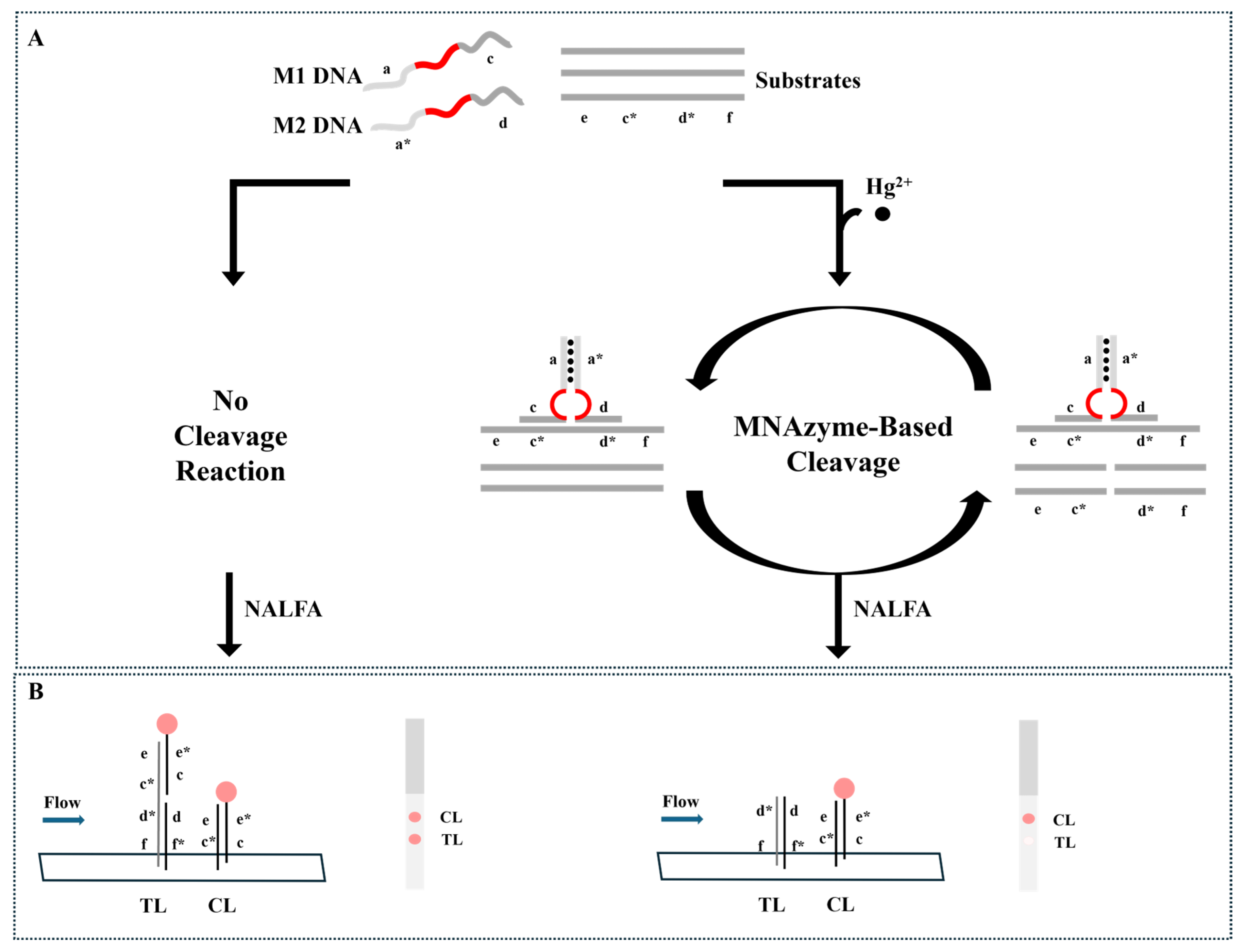 Biosensors 14 00454 sch001