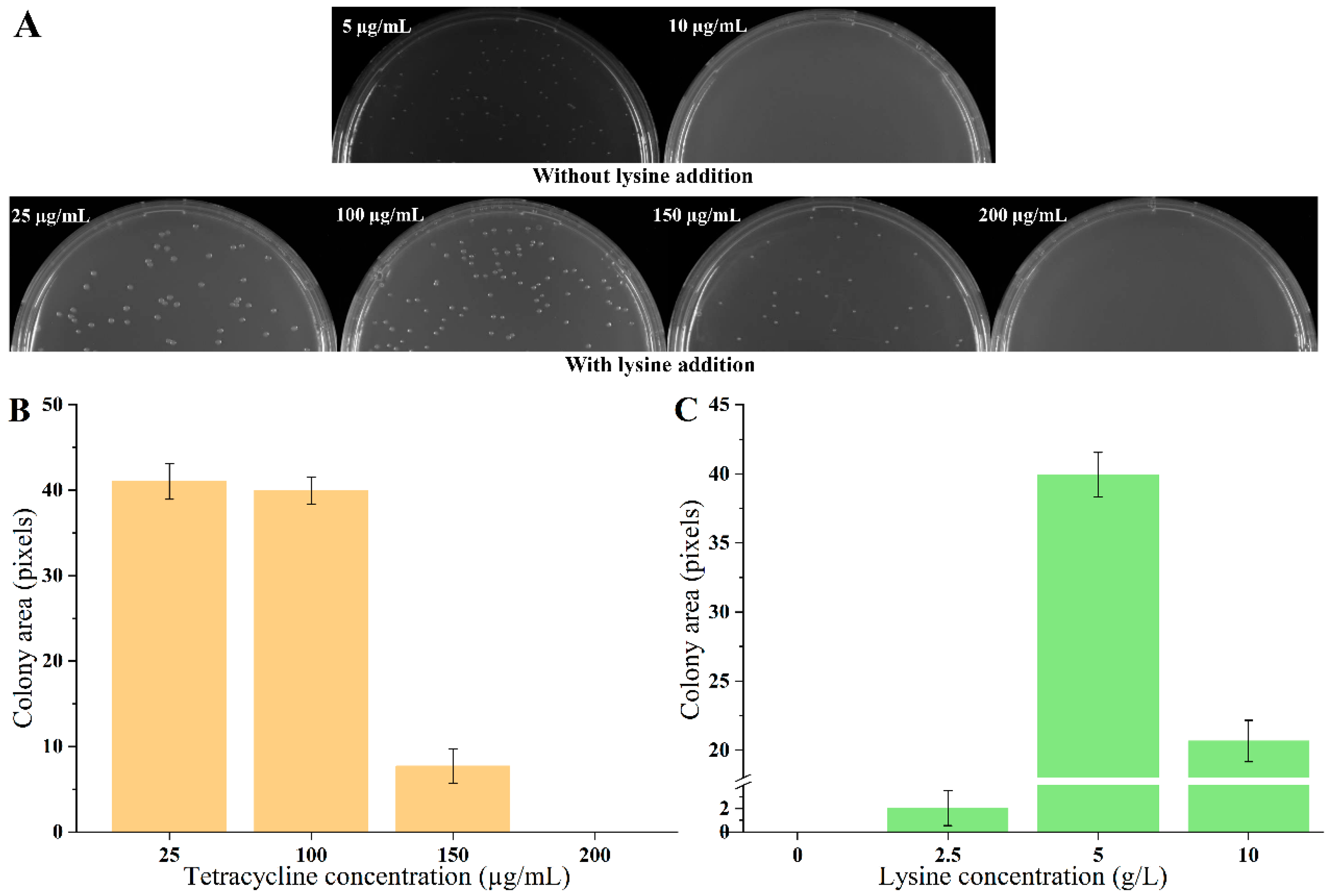 Biosensors 14 00455 g001