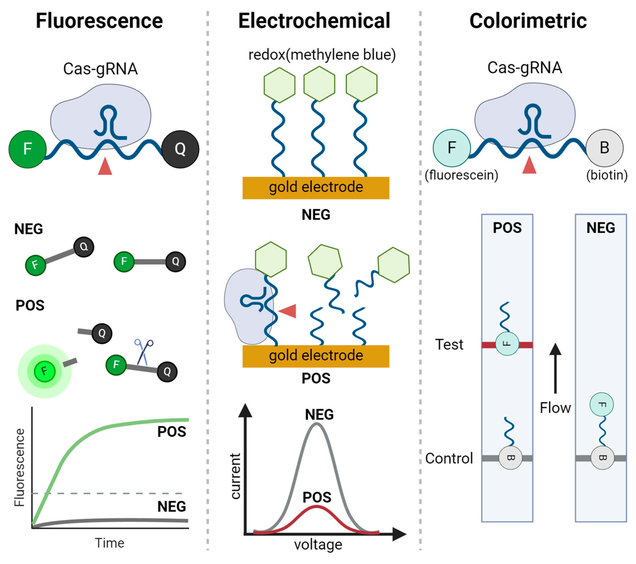 Biosensors 14 00460 g003