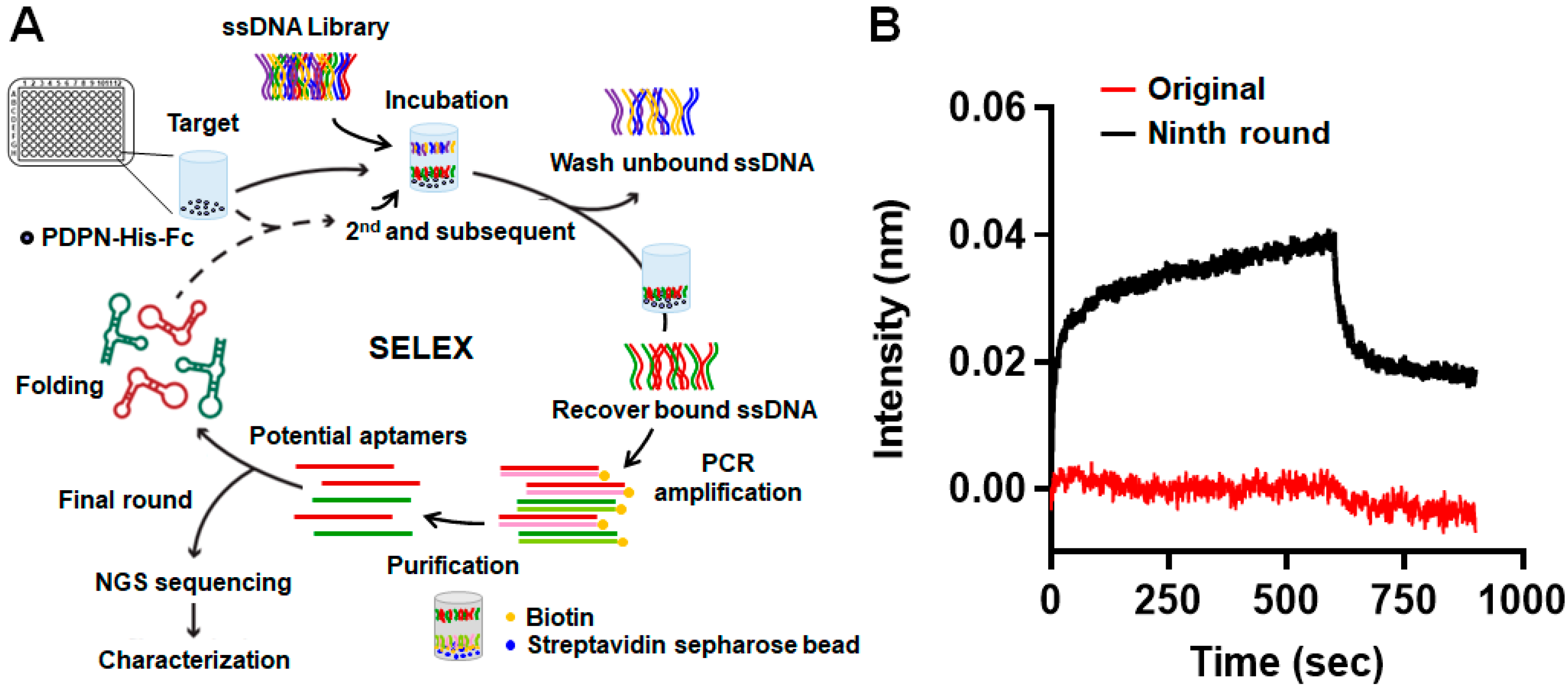 Biosensors 14 00464 g001