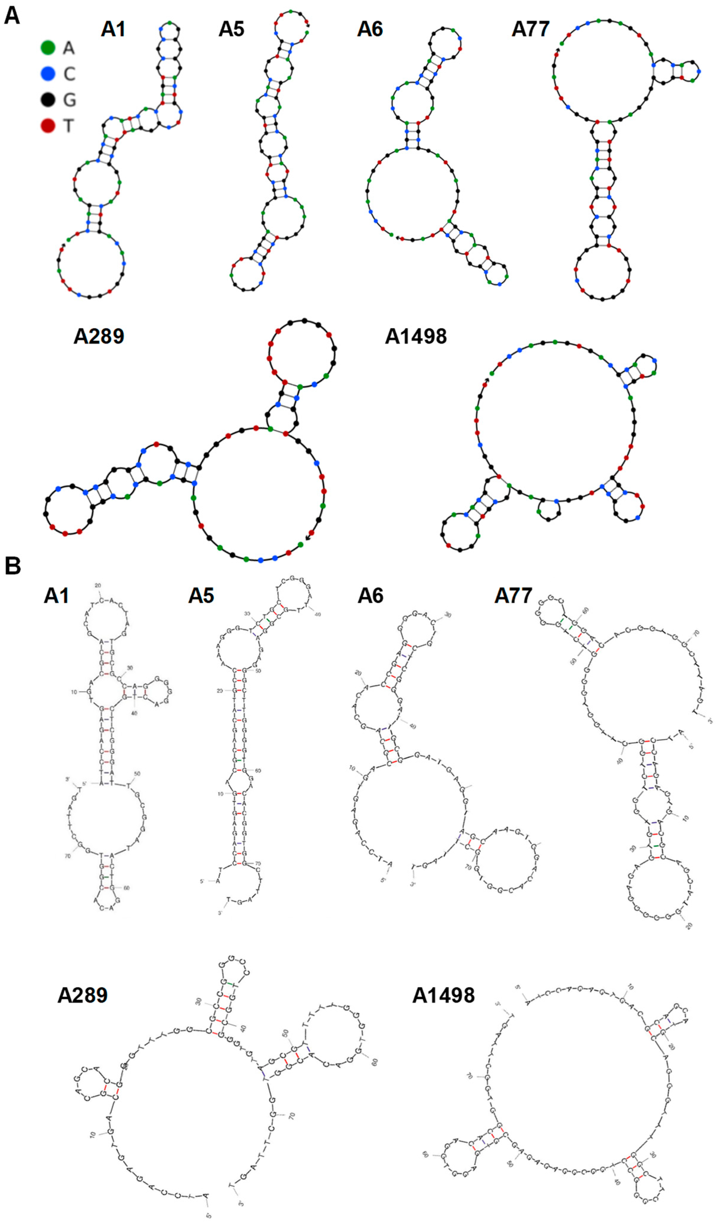 Biosensors 14 00464 g003