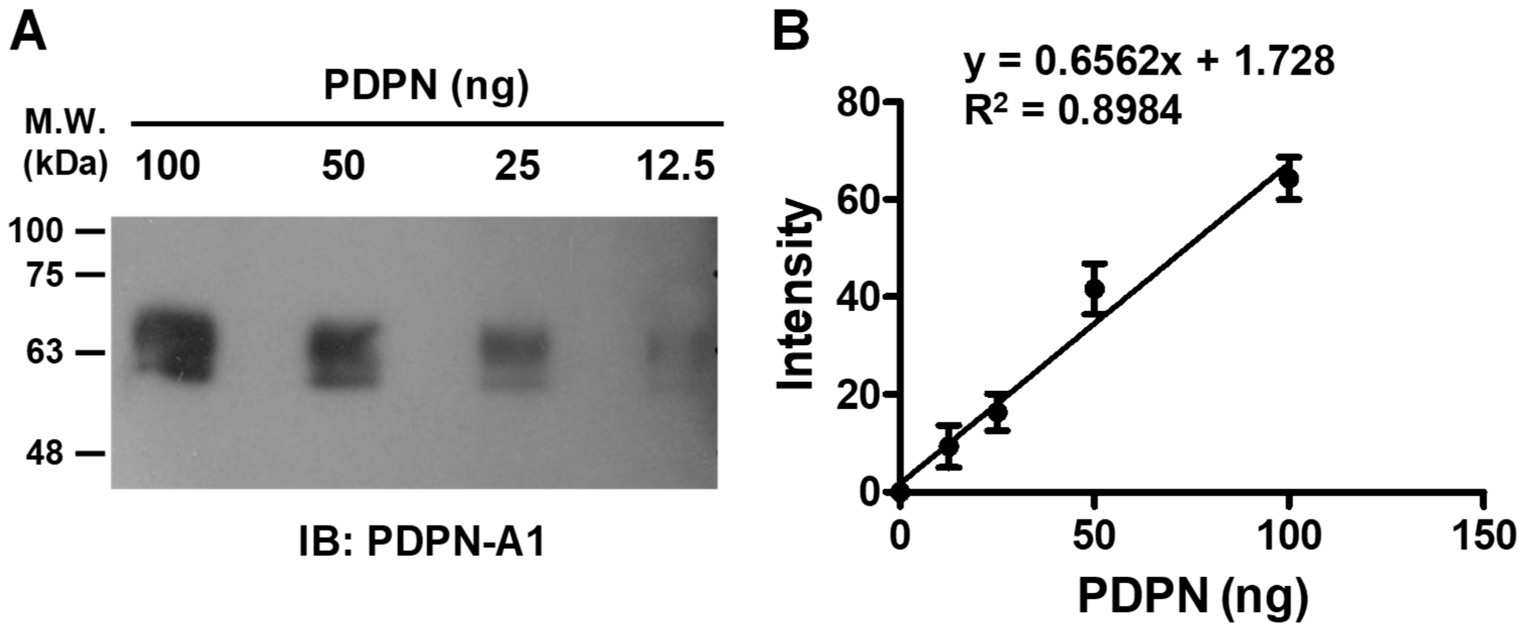 Biosensors 14 00464 g006