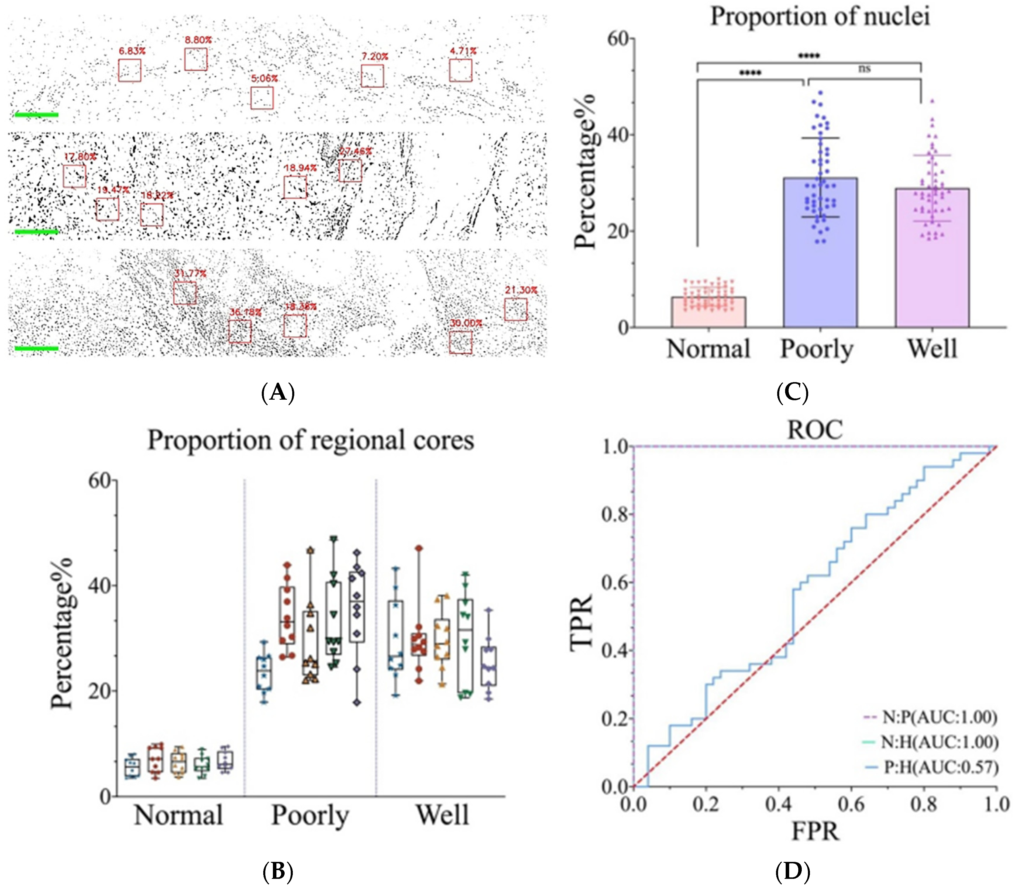Biosensors 14 00467 g004