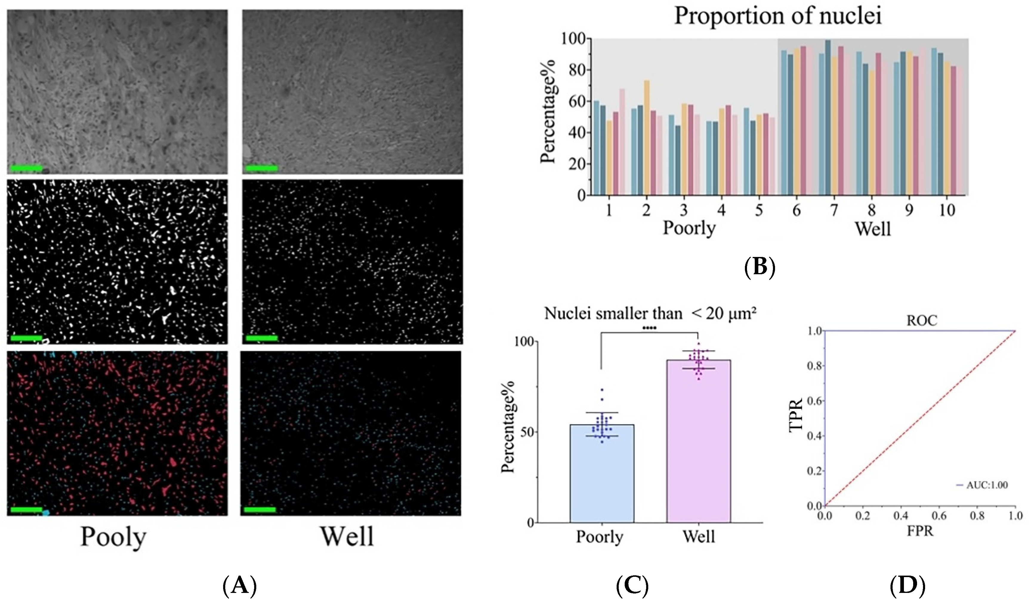 Biosensors 14 00467 g005