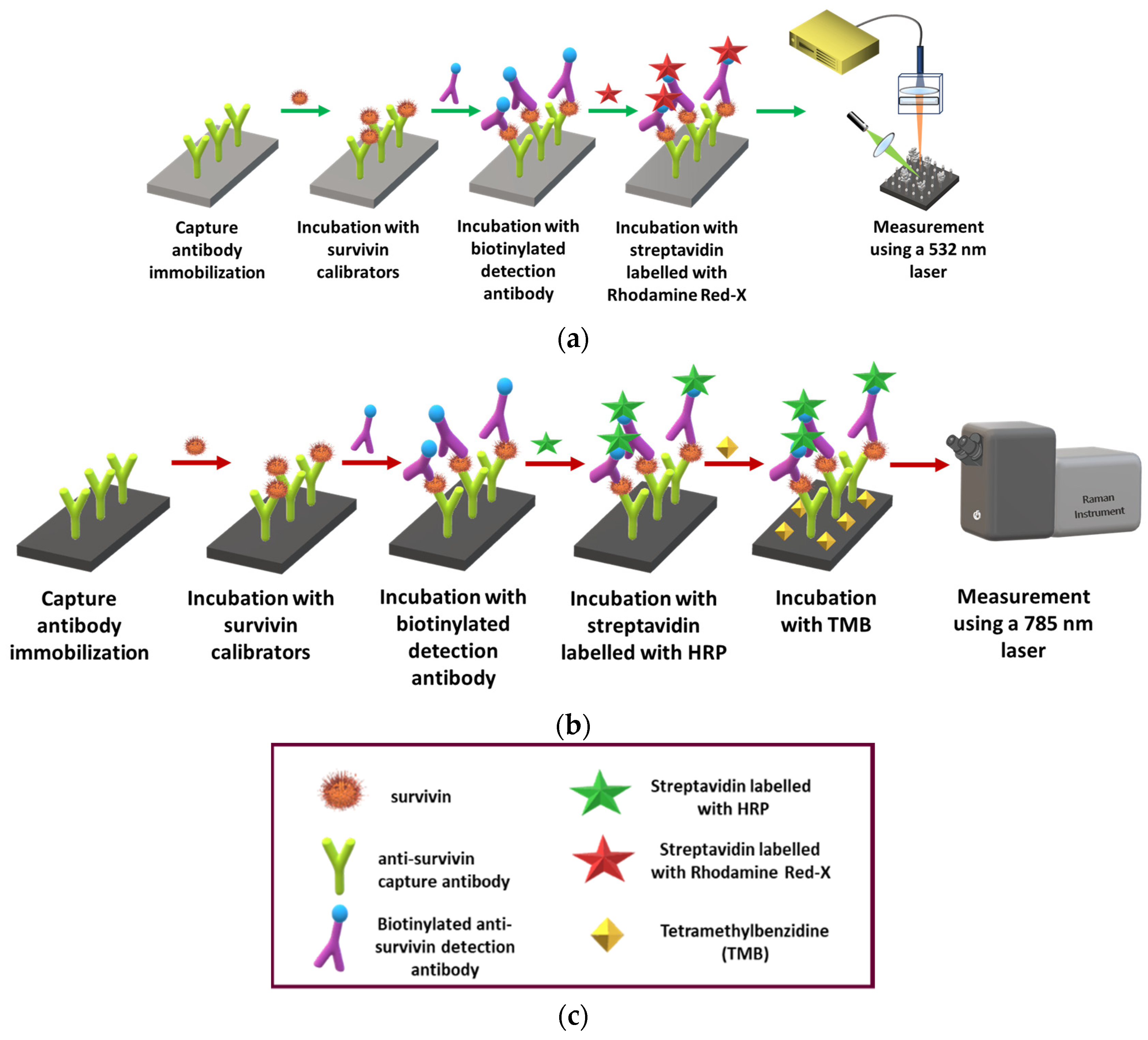 Biosensors 14 00479 g001 Biosensors 14 00479 g001