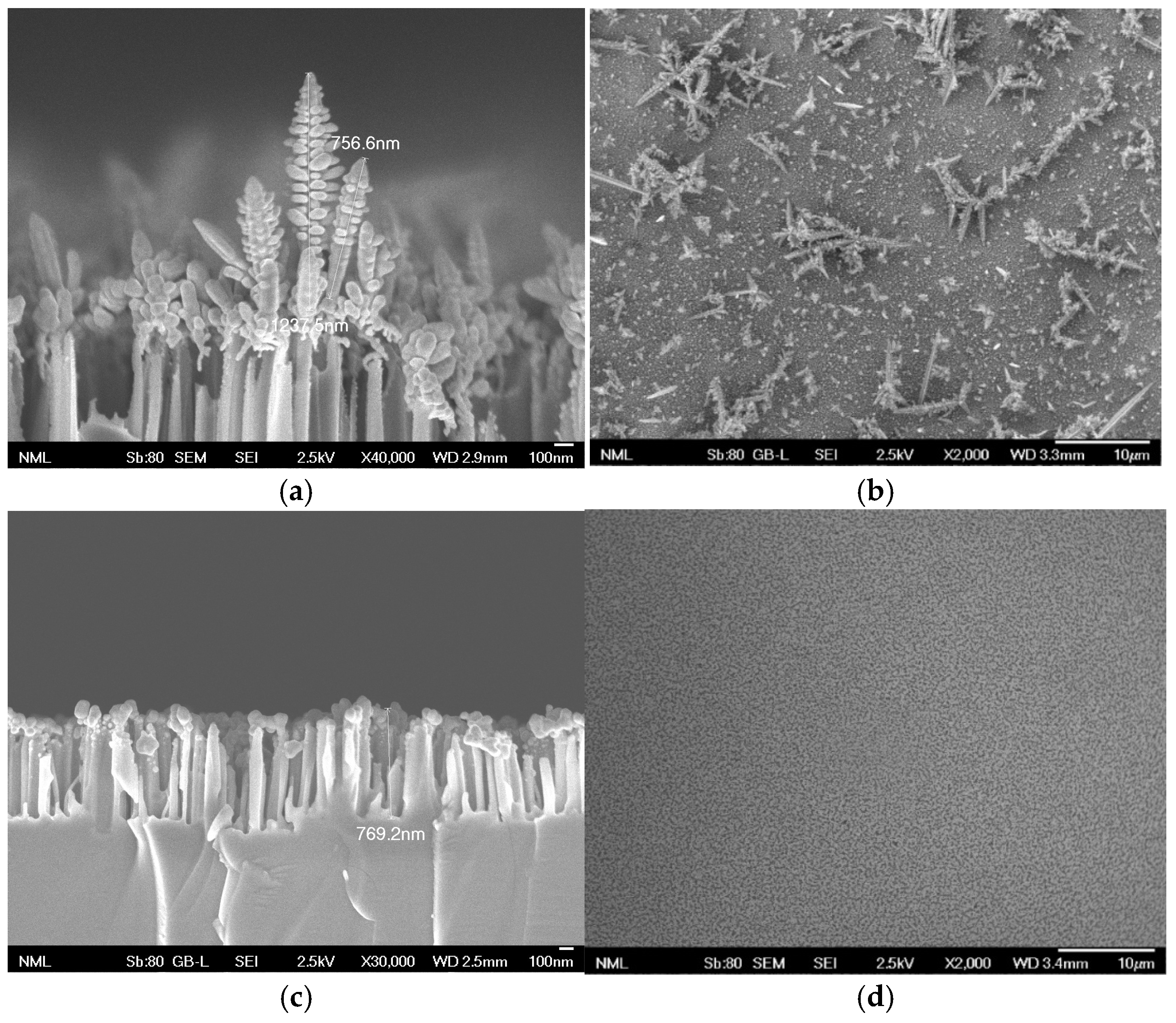 Biosensors 14 00479 g002 Biosensors 14 00479 g002