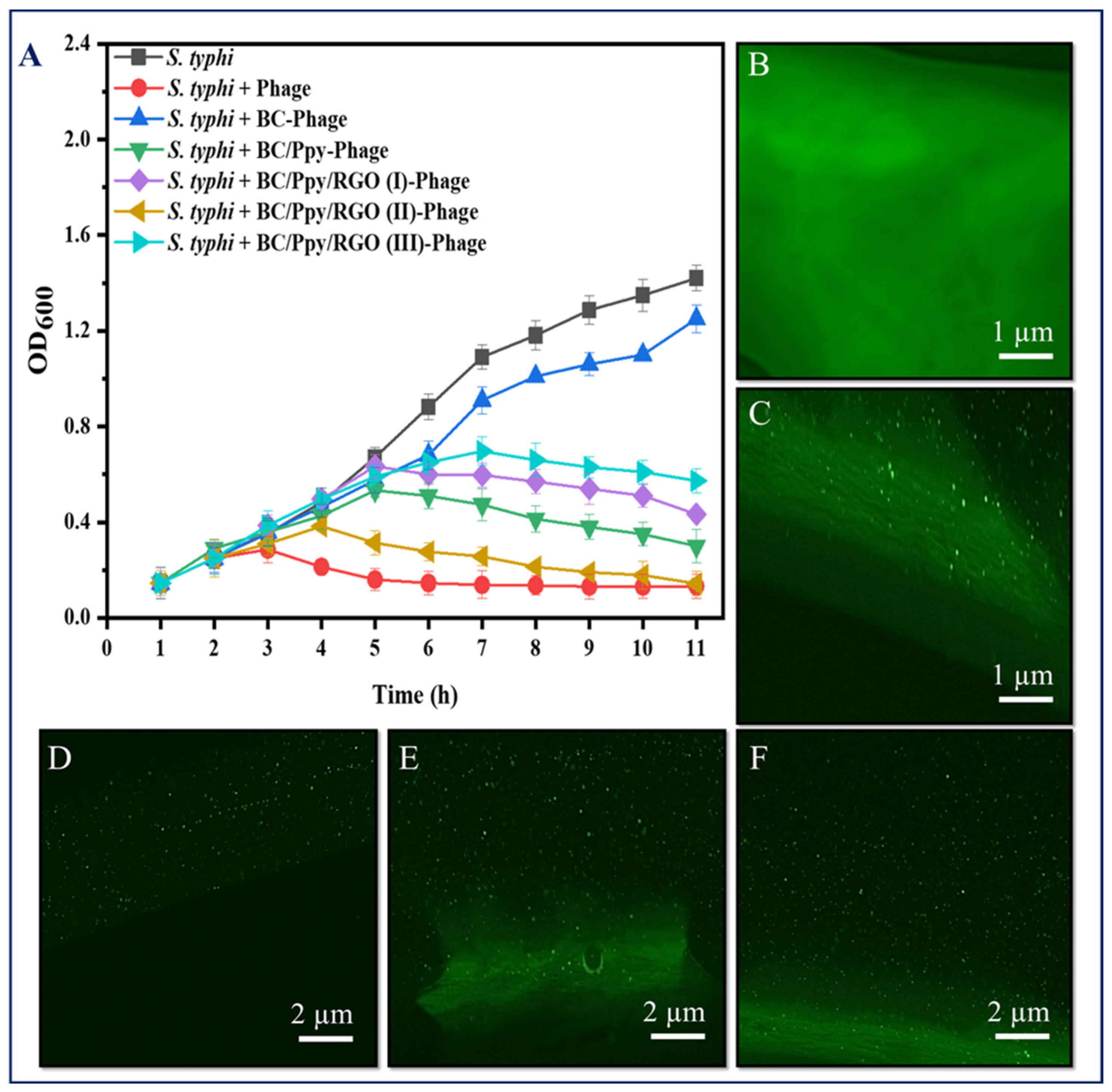 Biosensors 14 00500 g005