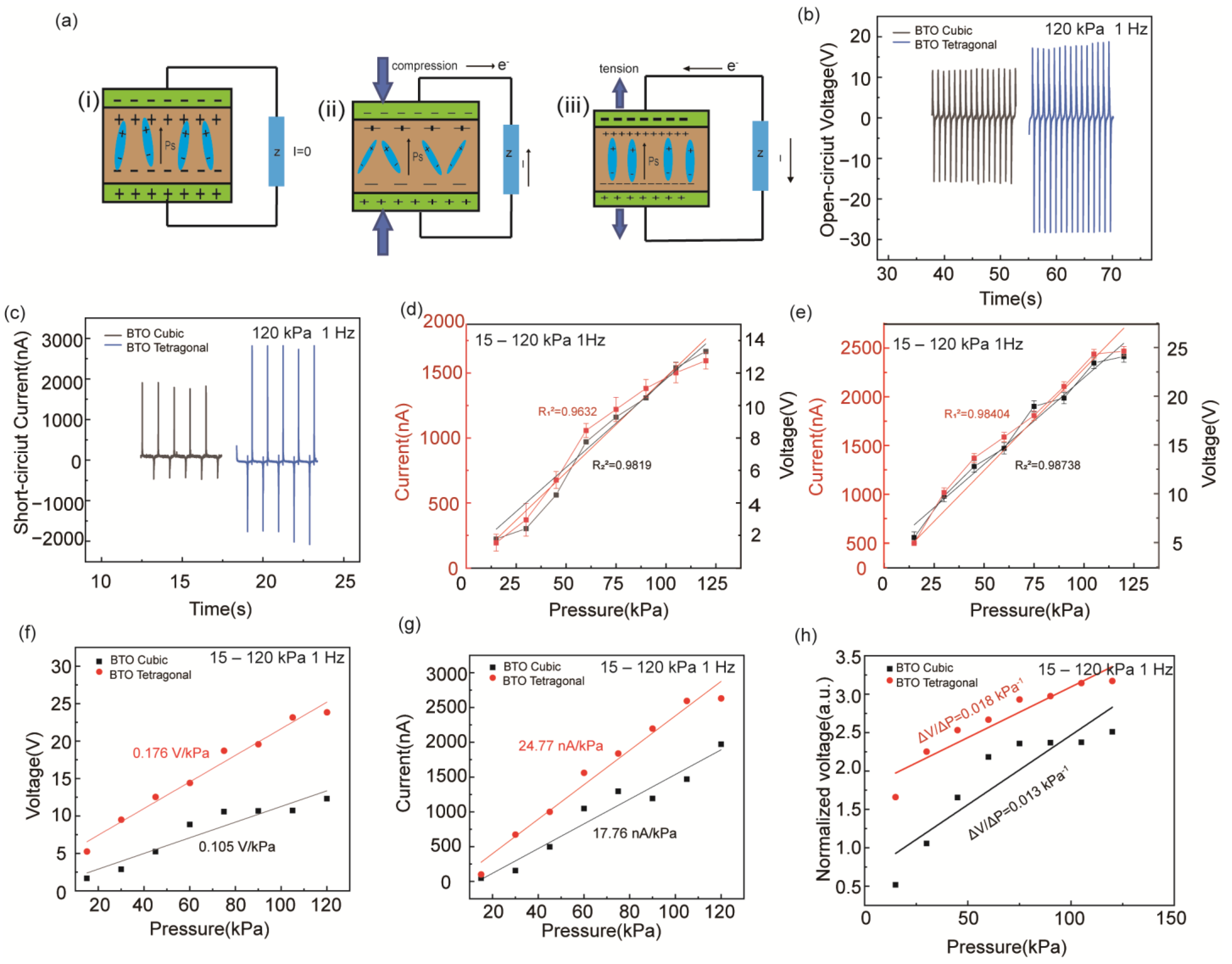 Biosensors 14 00508 g002