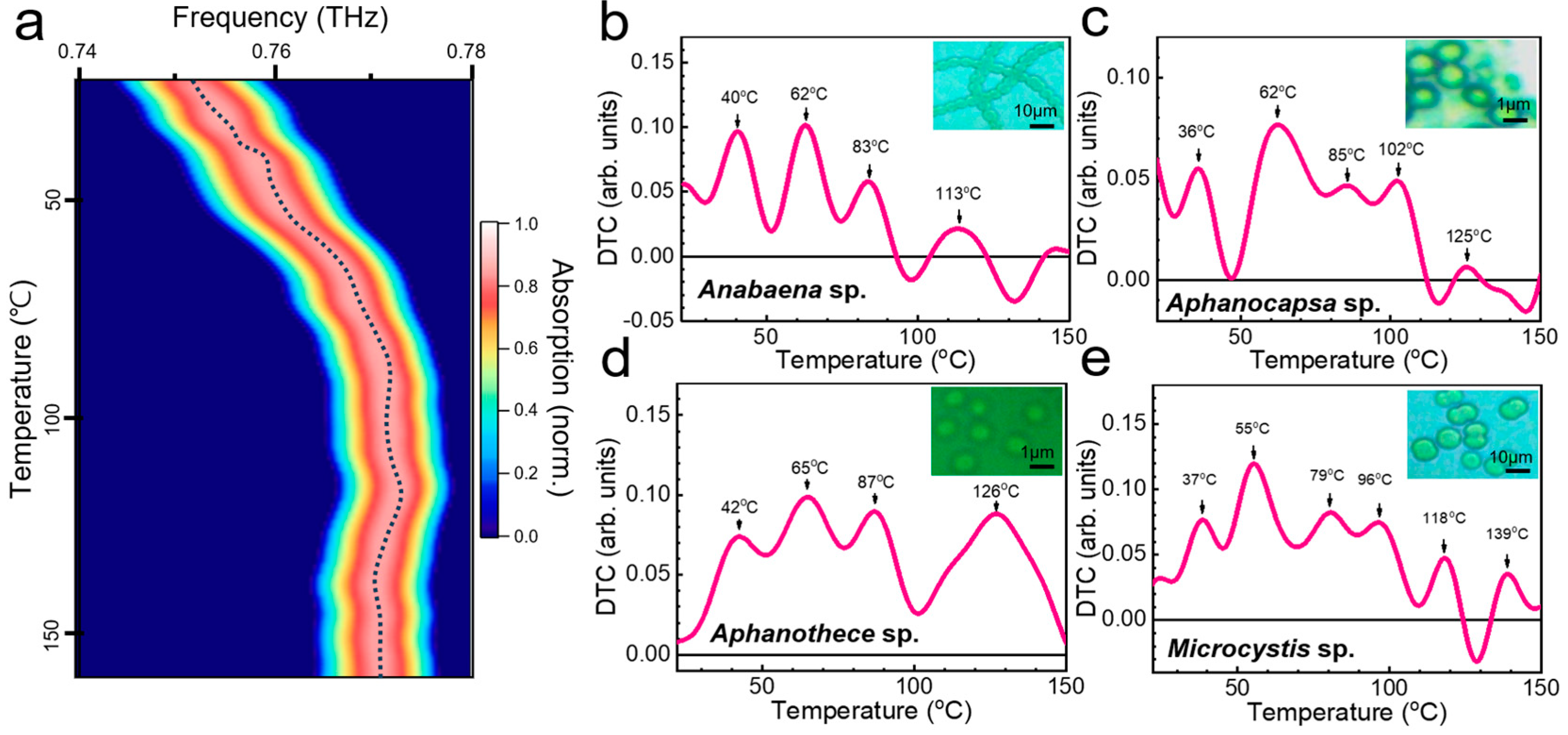 Biosensors 14 00519 g005