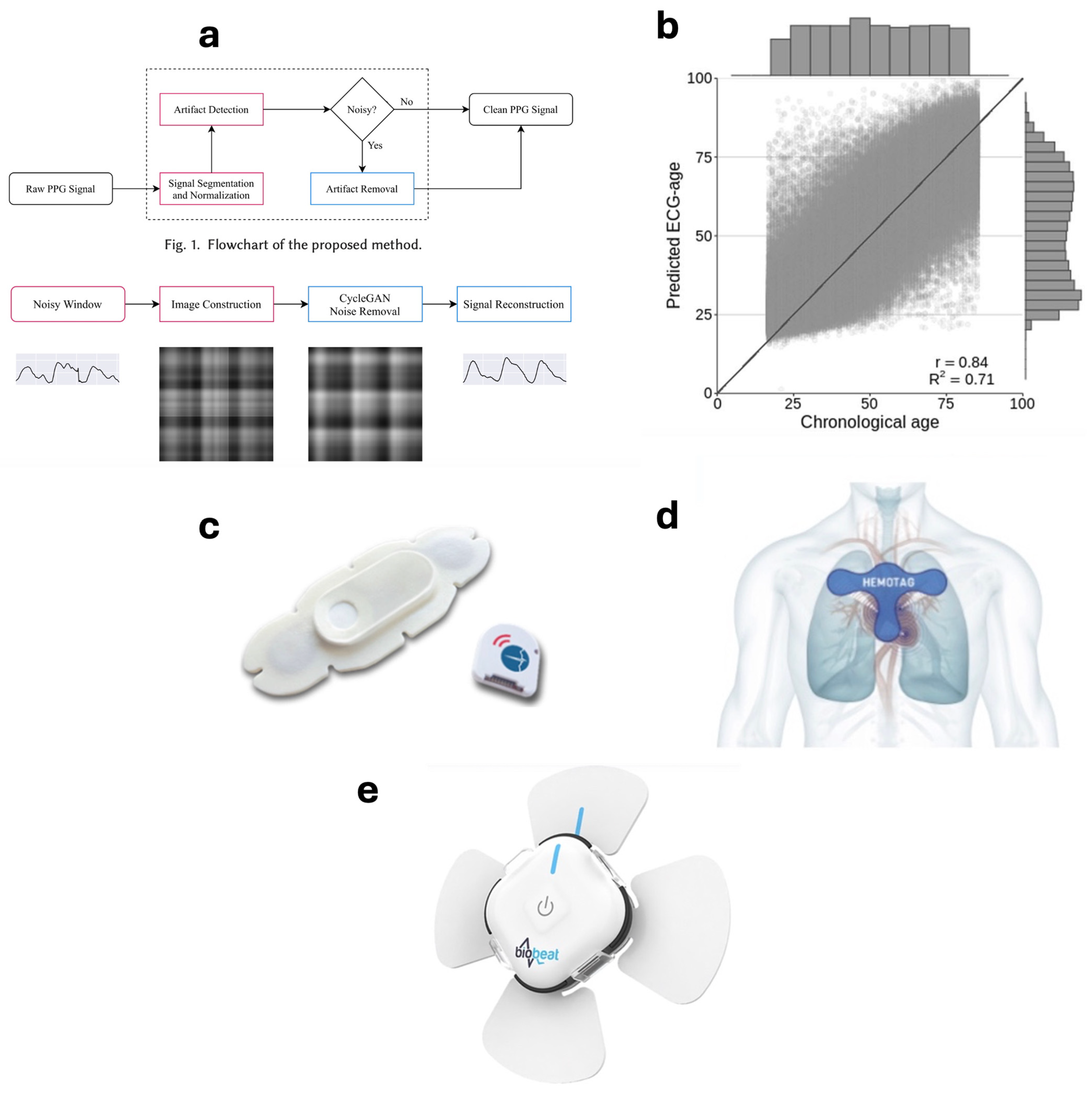Biosensors 14 00525 g006