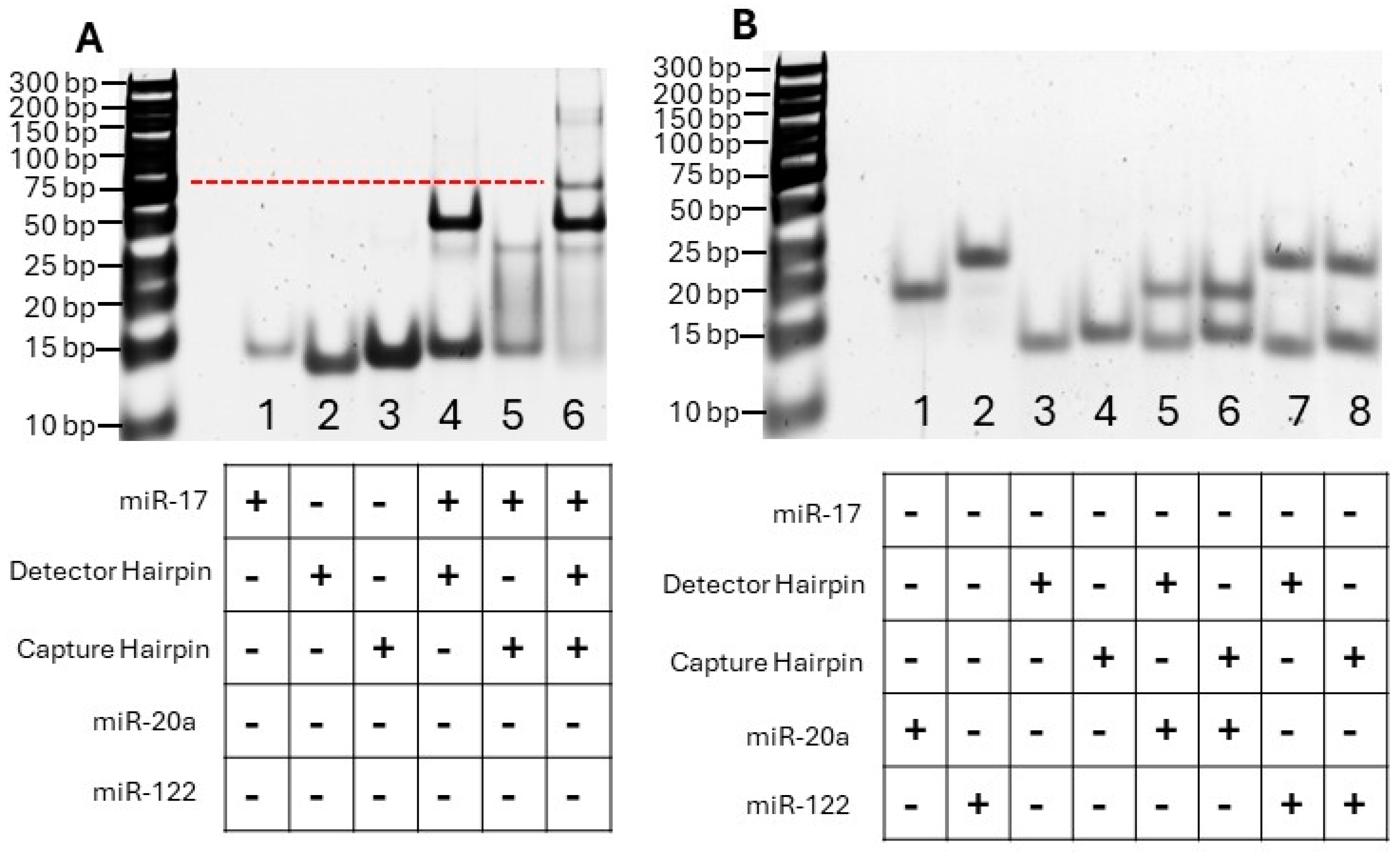 Biosensors 14 00535 g002