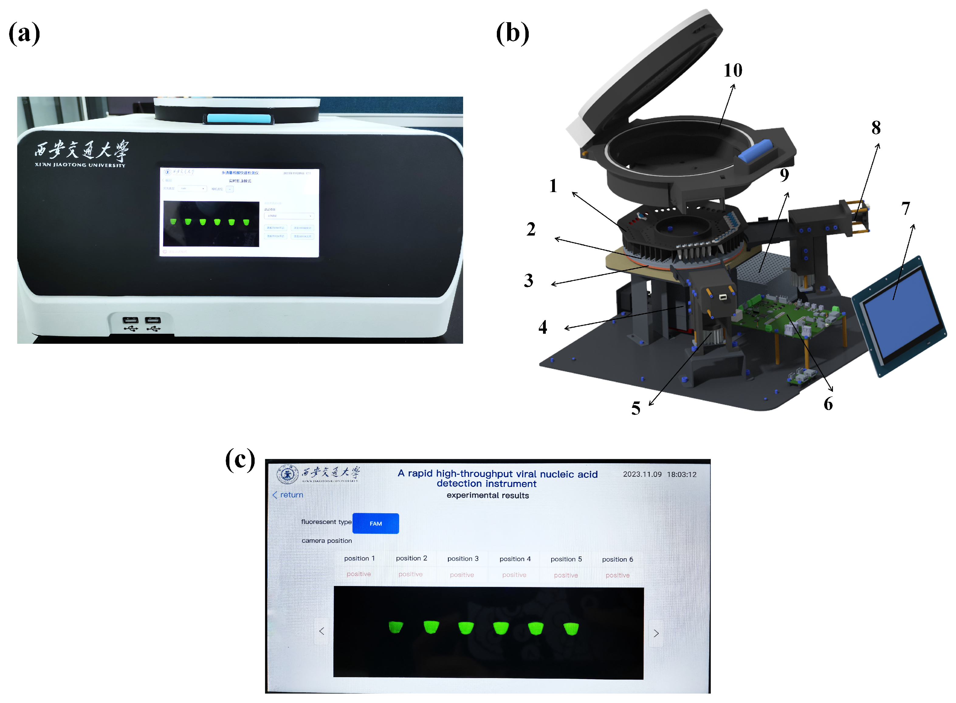 Biosensors 14 00549 g003