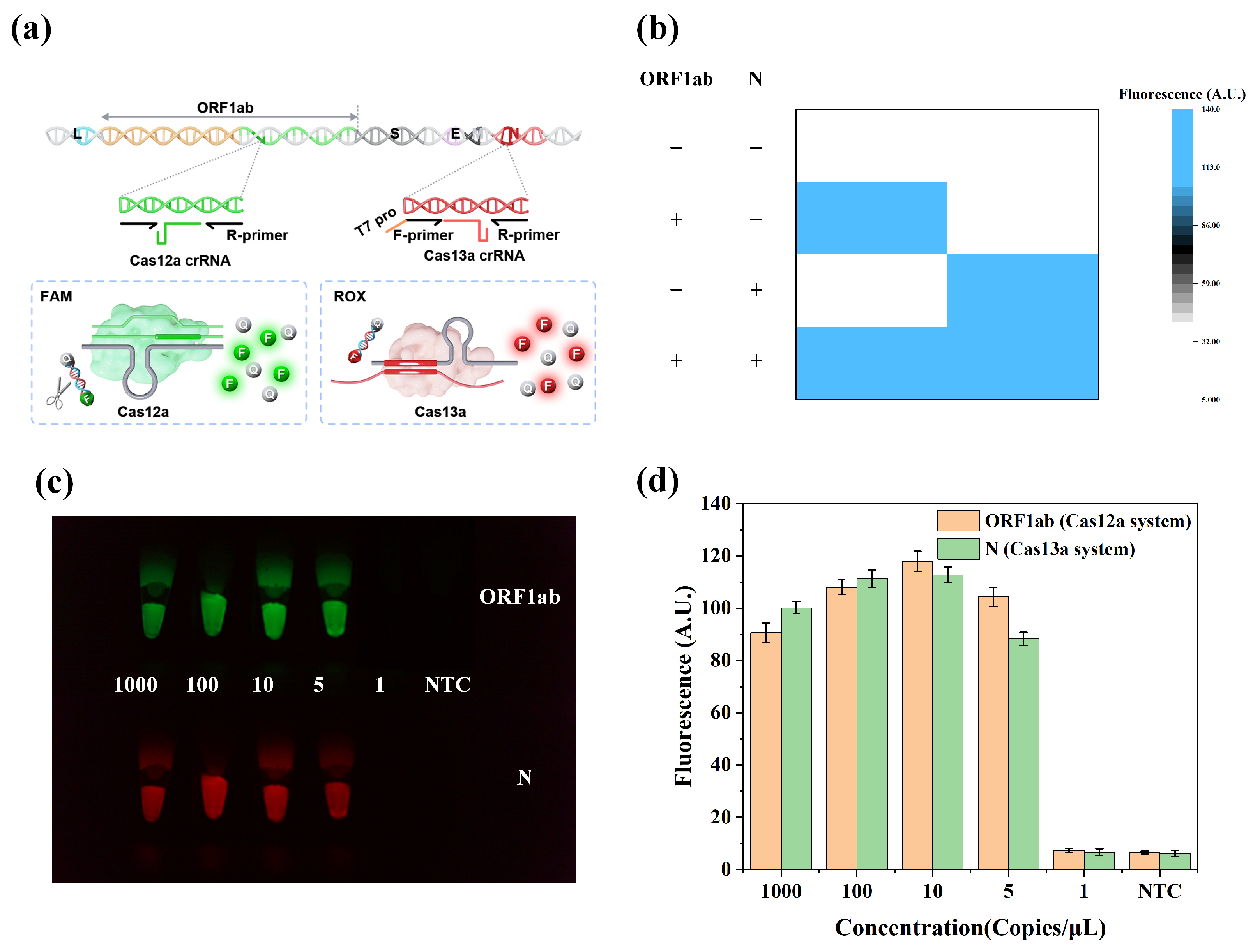 Biosensors 14 00549 g006