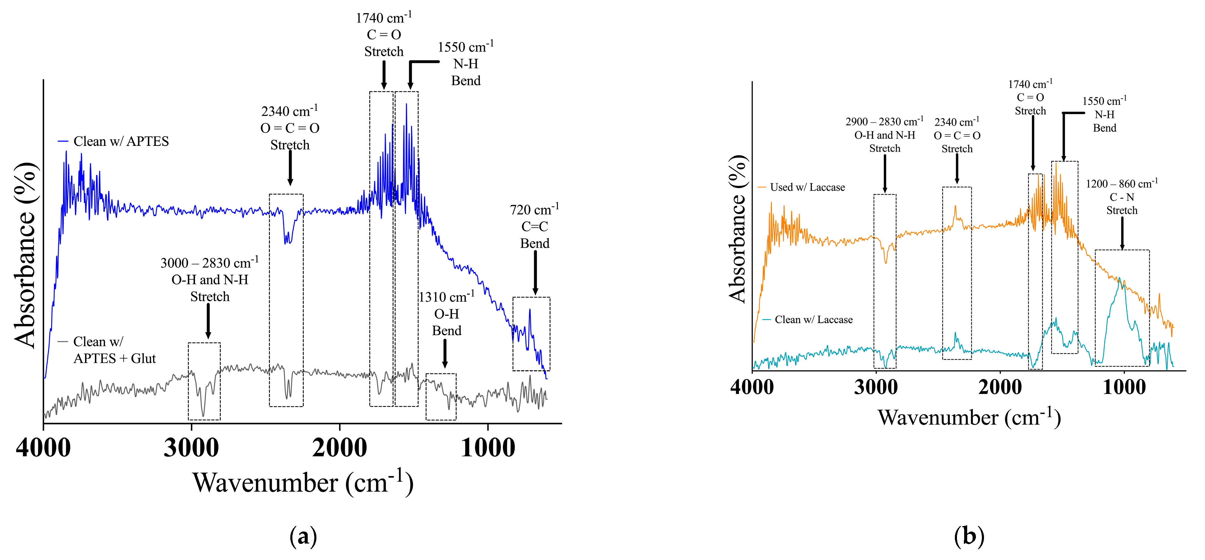 Biosensors 14 00557 g003