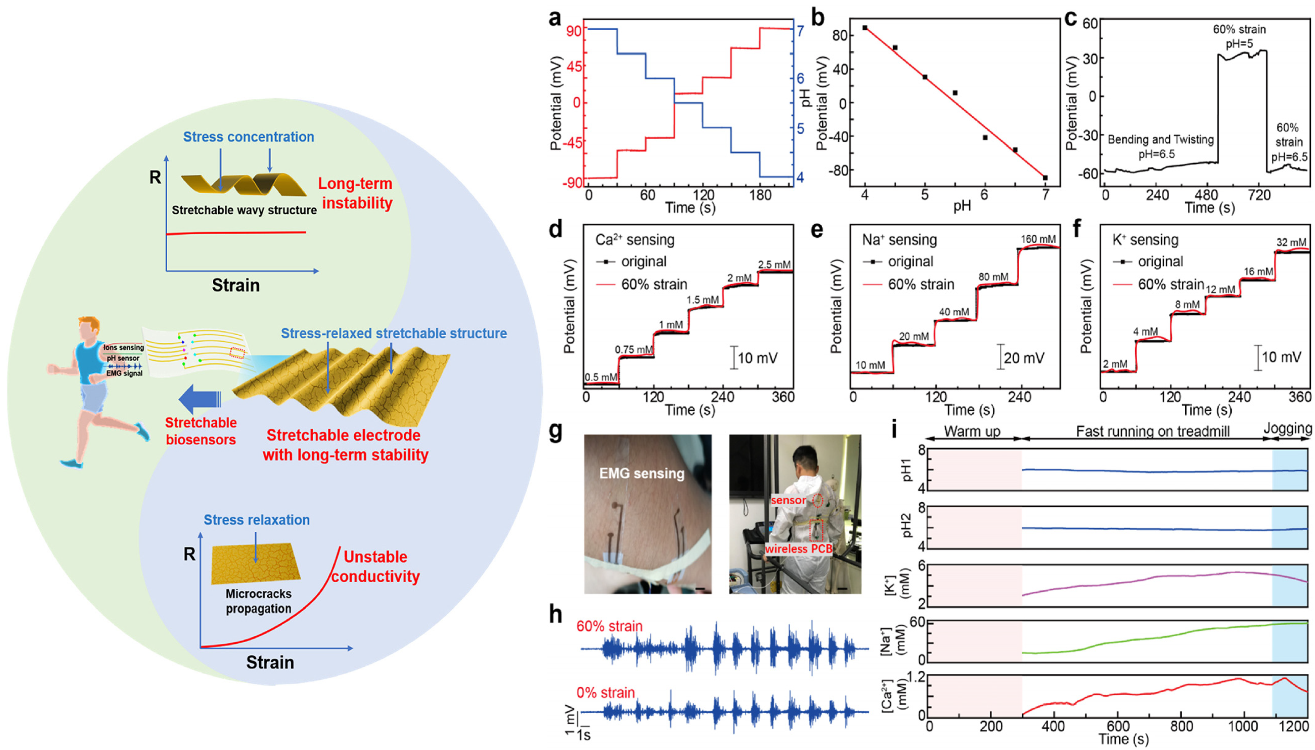 Biosensors 14 00560 g005