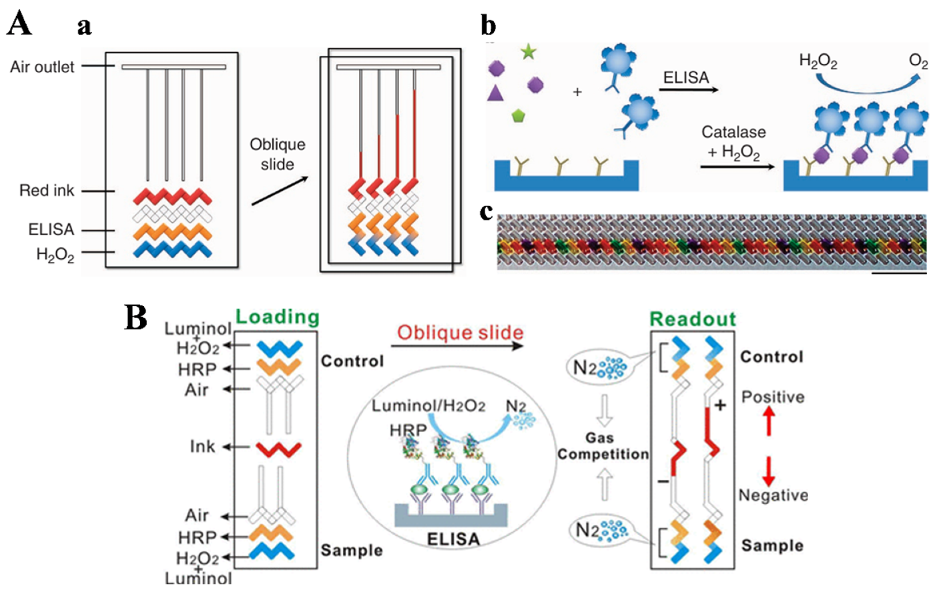 Biosensors 14 00580 g001