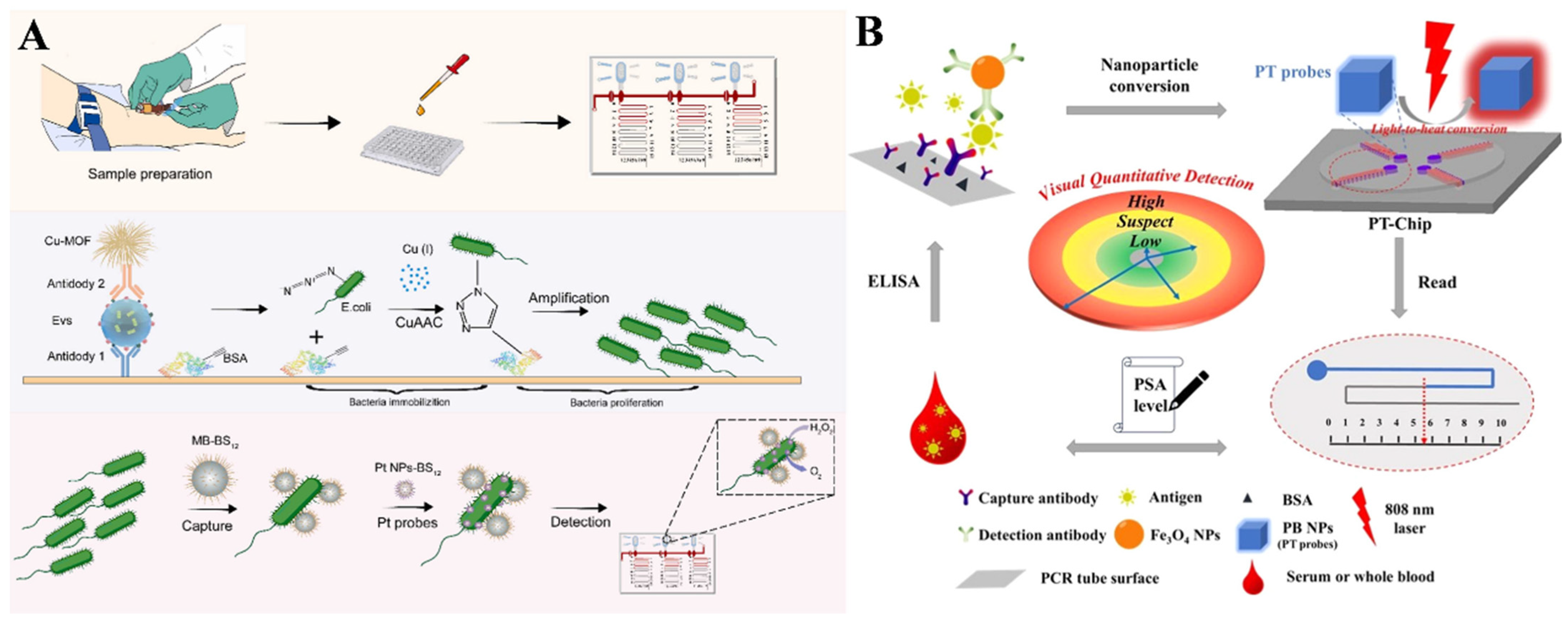 Biosensors 14 00580 g002