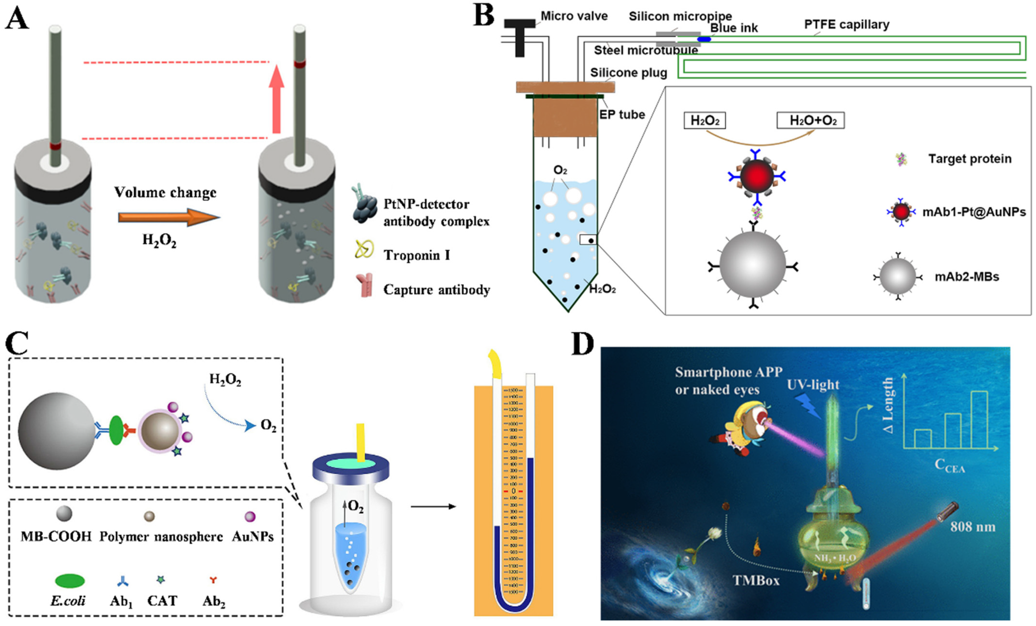 Biosensors 14 00580 g003