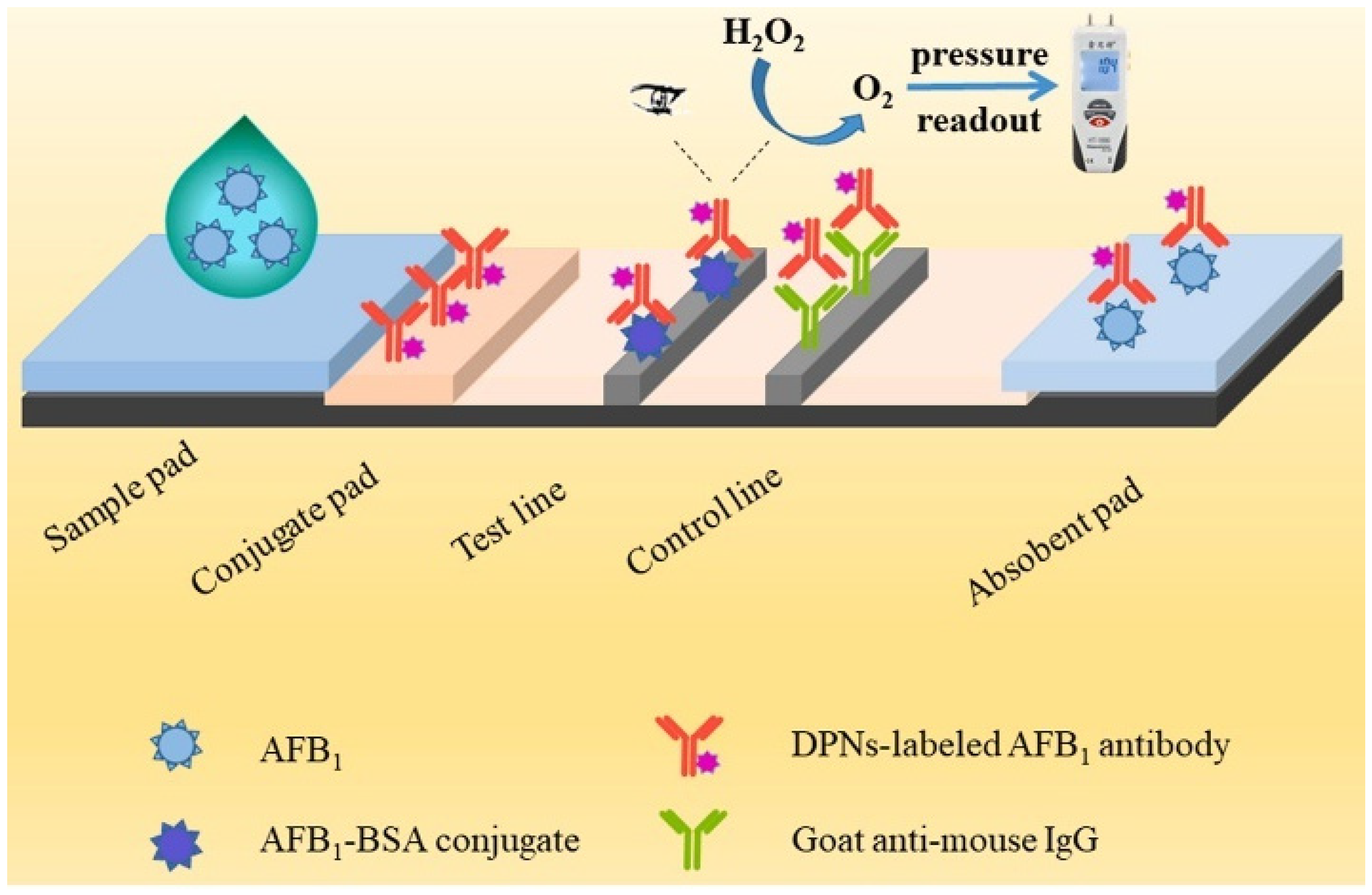 Biosensors 14 00580 g006