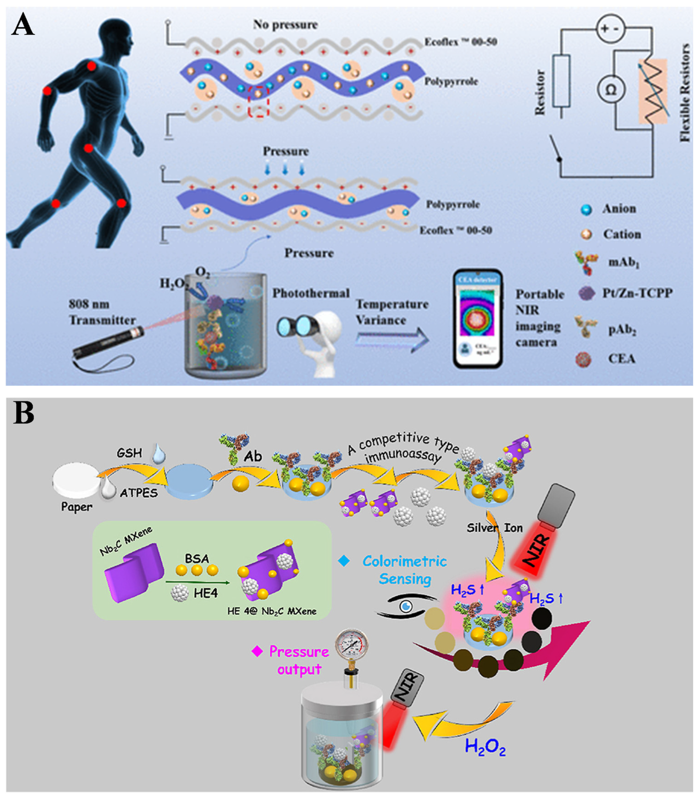 Biosensors 14 00580 g010