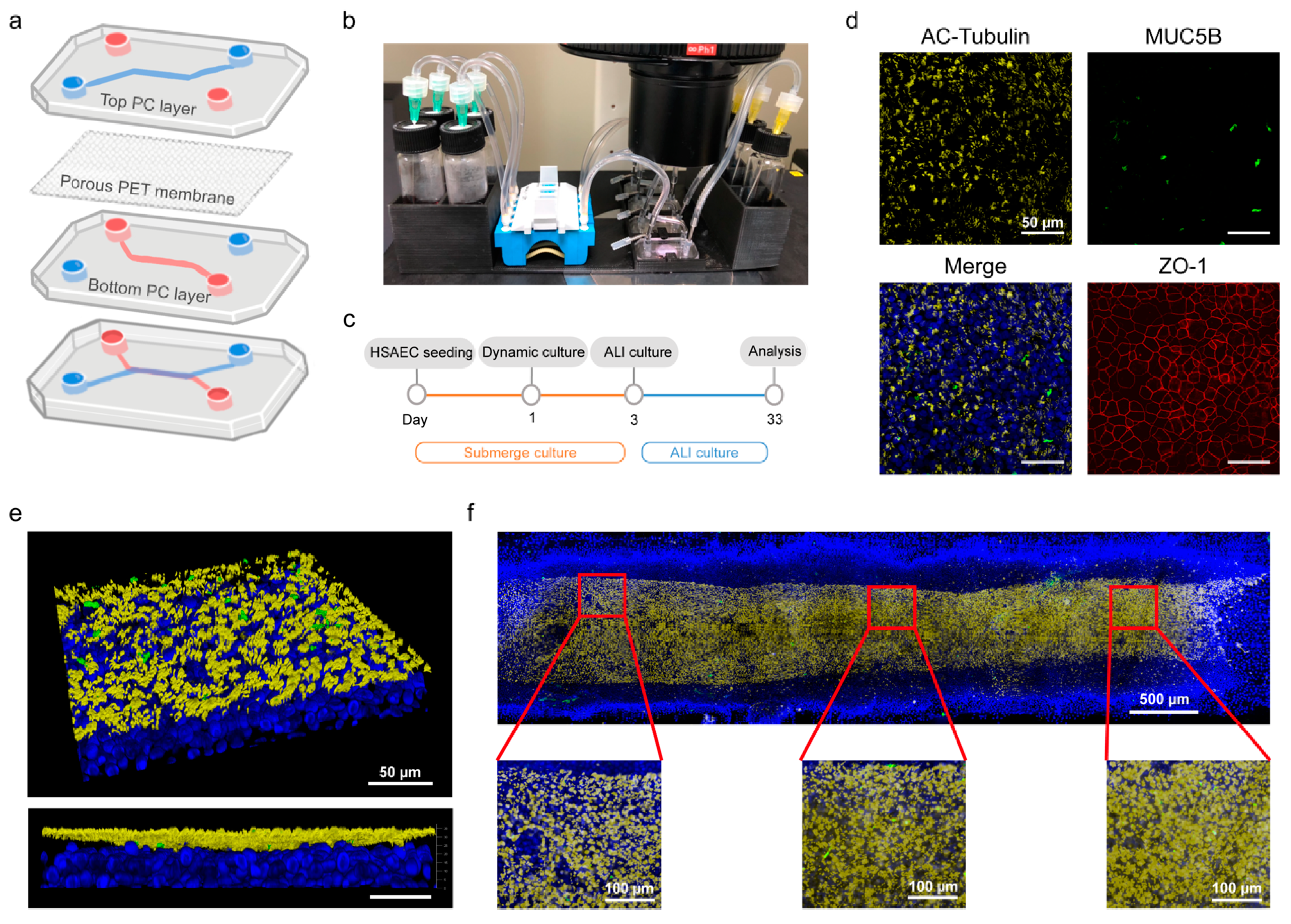 Biosensors 14 00581 g001